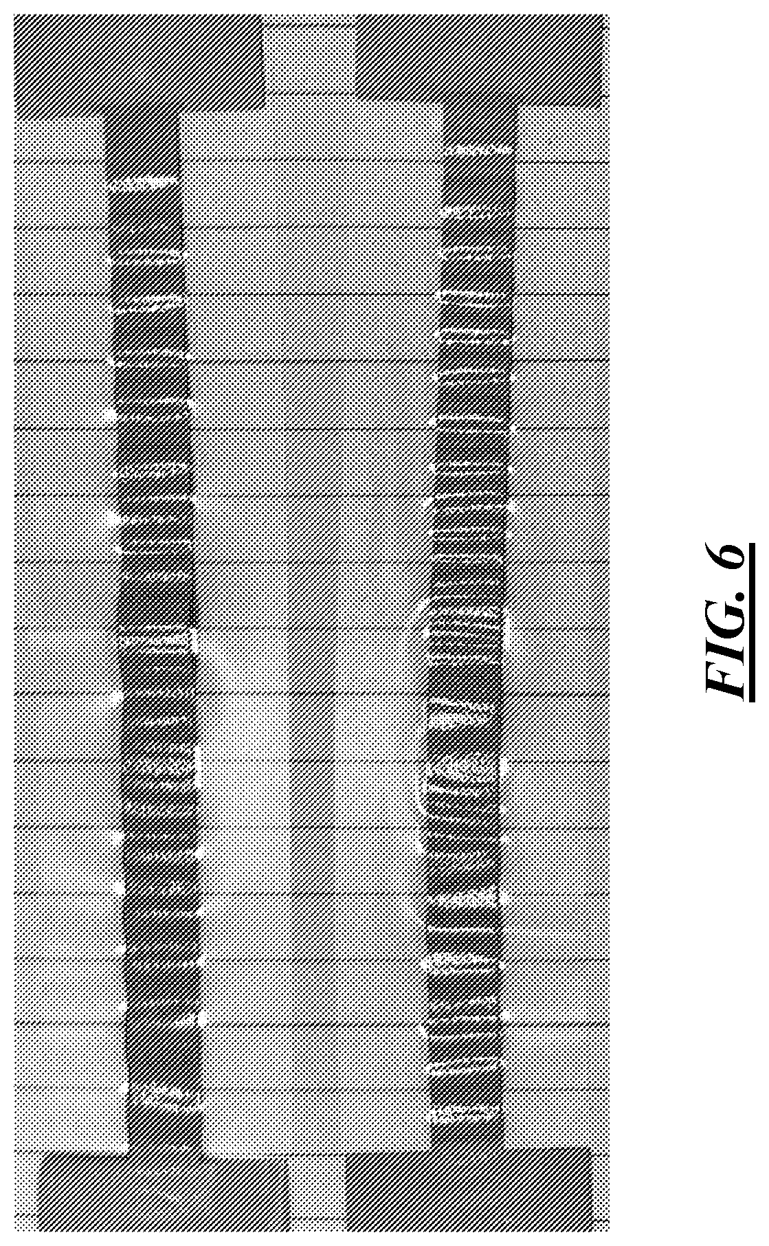 Patent US12492314 Figure 5 – Conductive composite film
