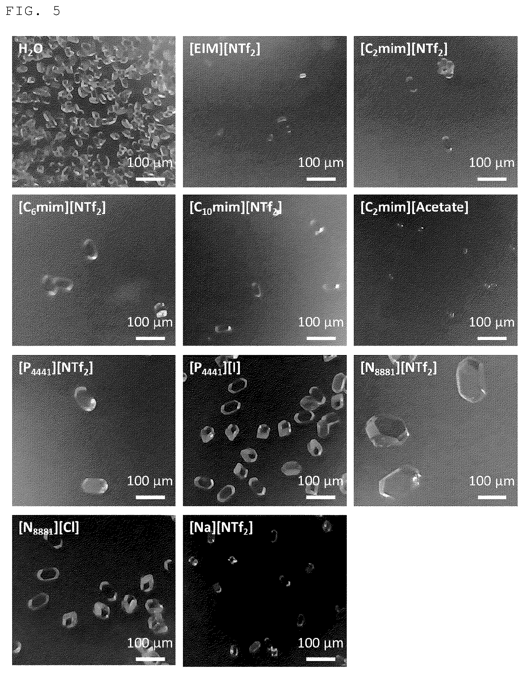 Patent US12492331 Figure 4 – Composite material including COF, heat dissipation/storage member, and method for producing said composite material, and COF single crystal and production method therefor