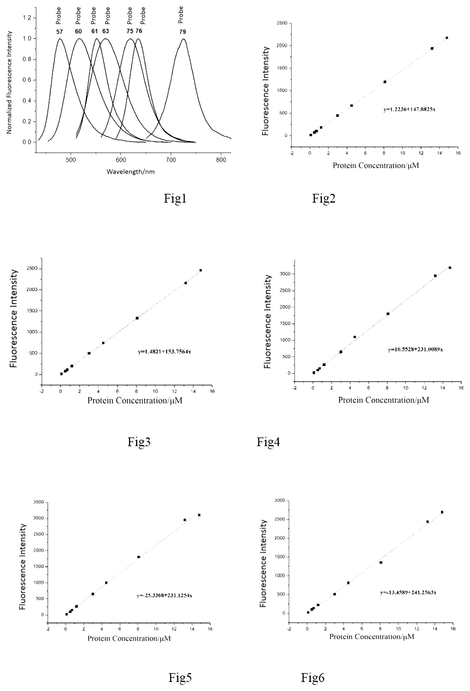 Patent US12492337 — Fluorescent probe, preparation method therefor and use thereof — Figure 1