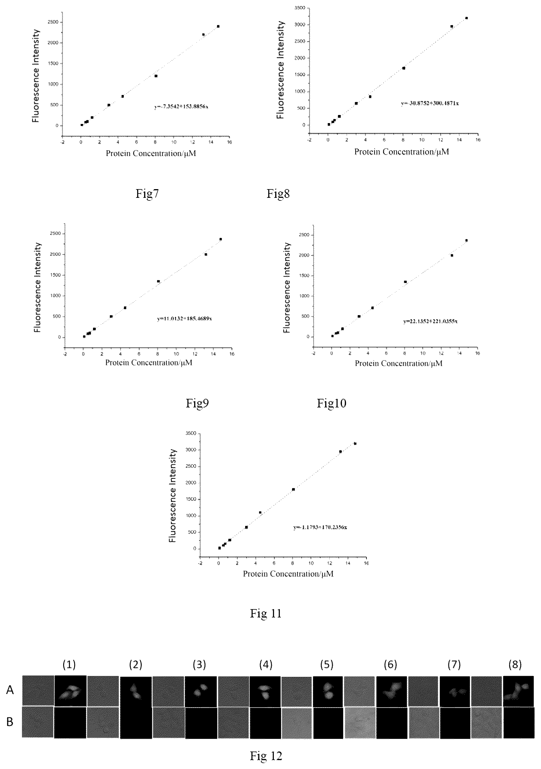 Patent US12492337 Figure 2 – Fluorescent probe, preparation method therefor and use thereof