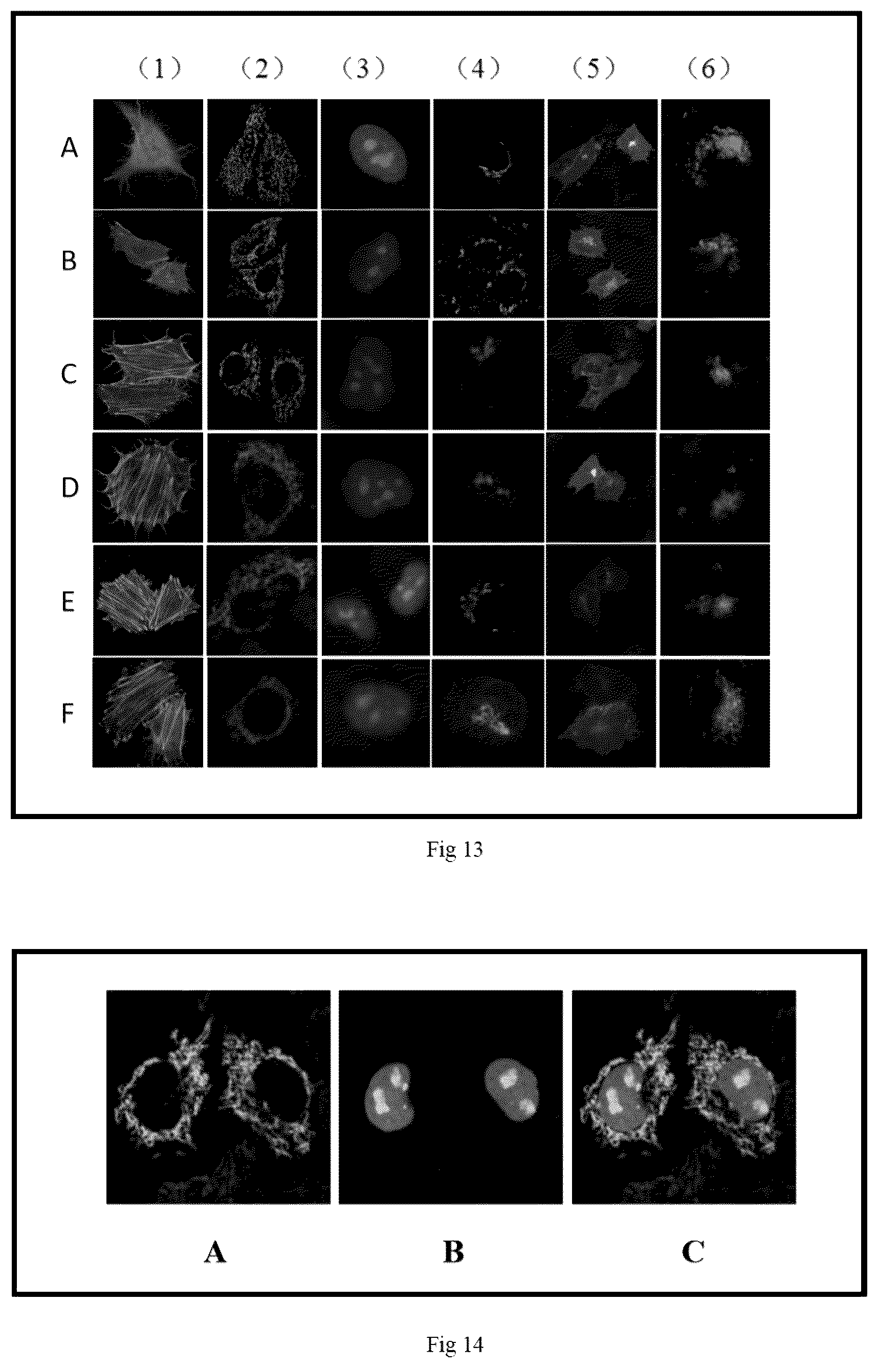 Patent US12492337 Figure 3 – Fluorescent probe, preparation method therefor and use thereof