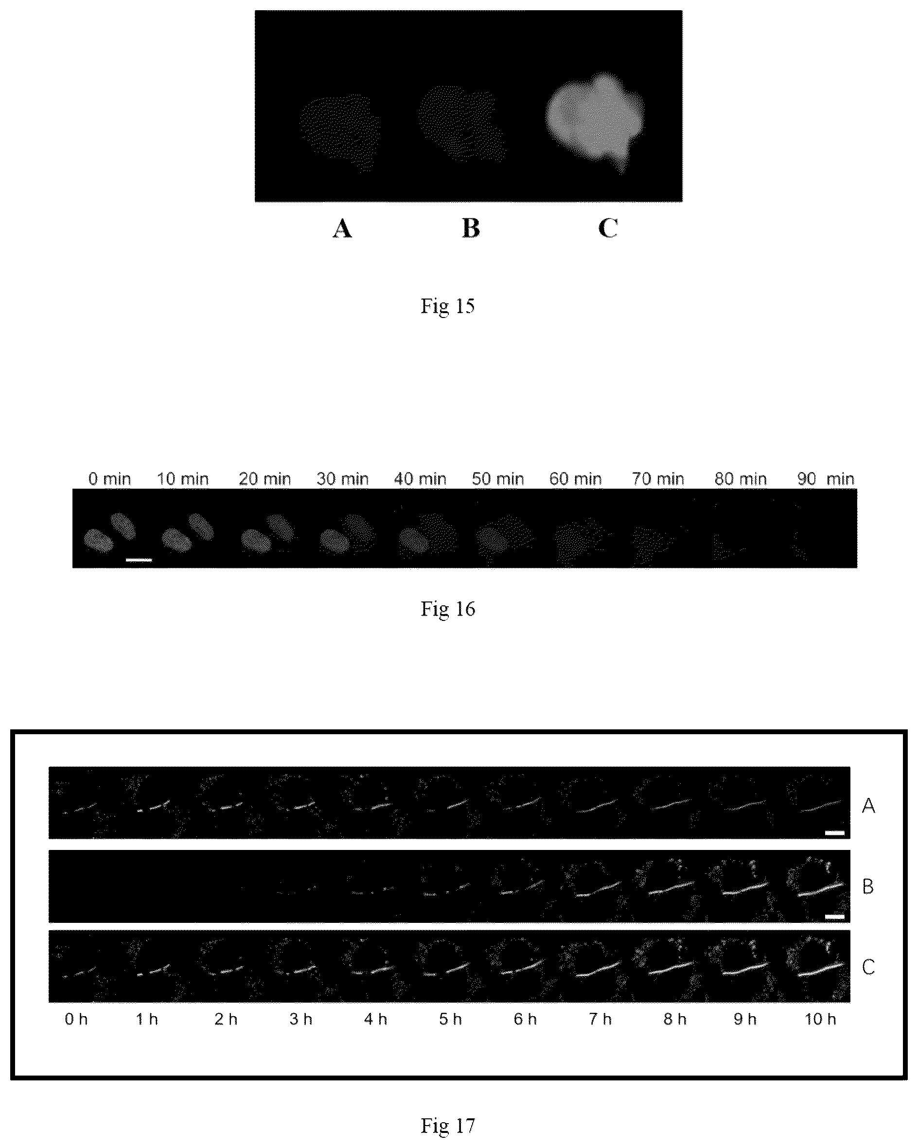 Patent US12492337 Figure 4 – Fluorescent probe, preparation method therefor and use thereof