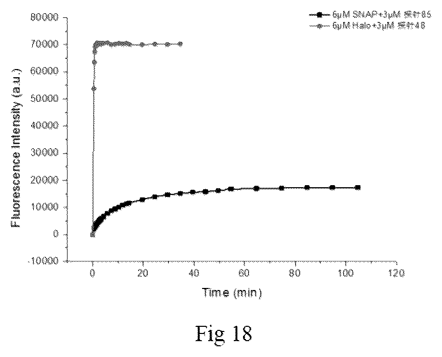 Patent US12492337 Figure 5 – Fluorescent probe, preparation method therefor and use thereof