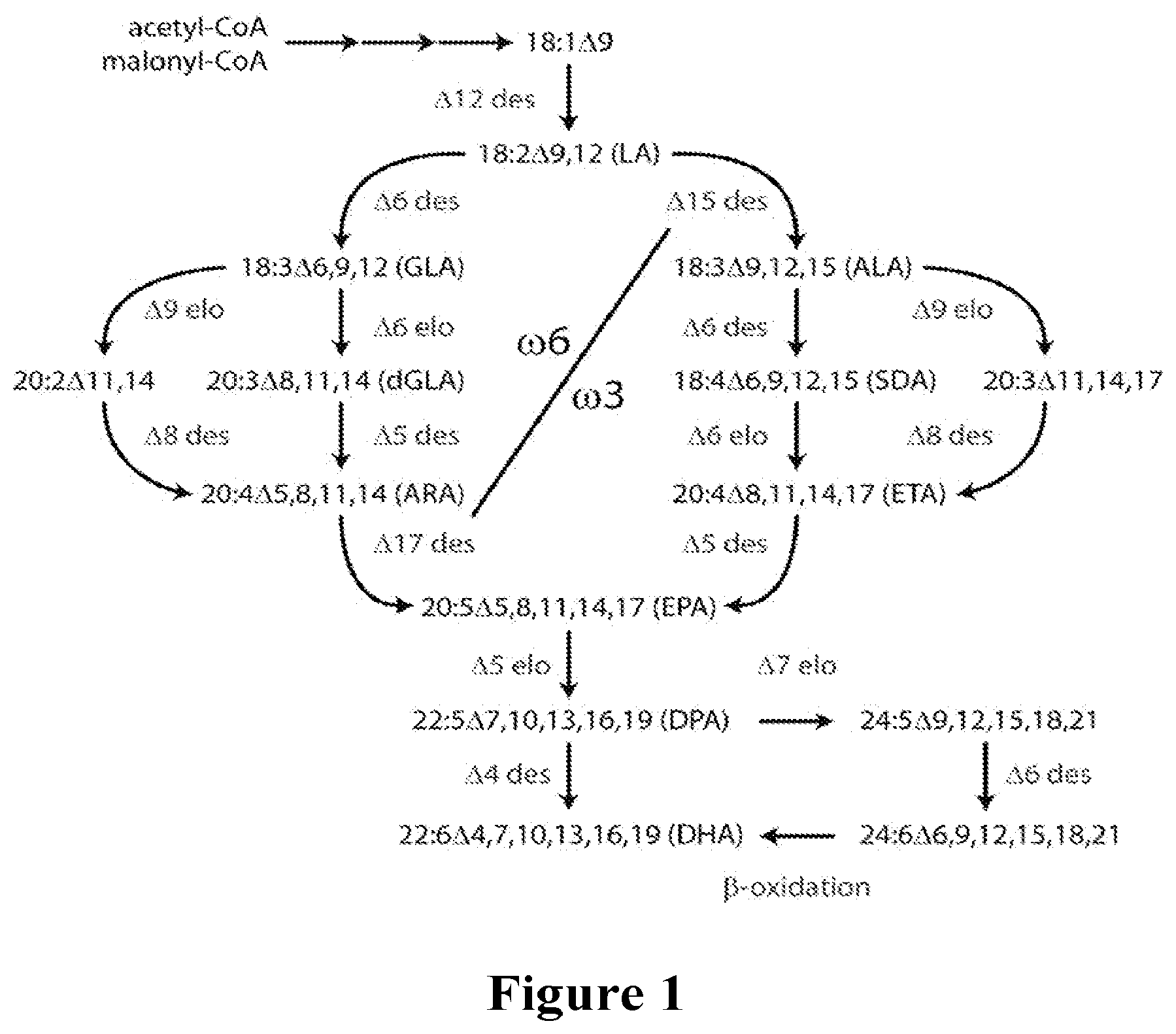 Patent US12492354 Figure 1 – Lipid comprising docosapentaenoic acid