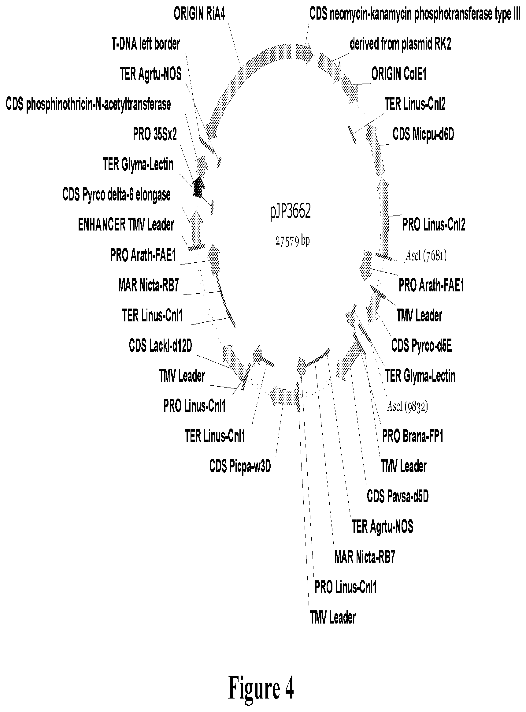 Patent US12492354 Figure 4 – Lipid comprising docosapentaenoic acid