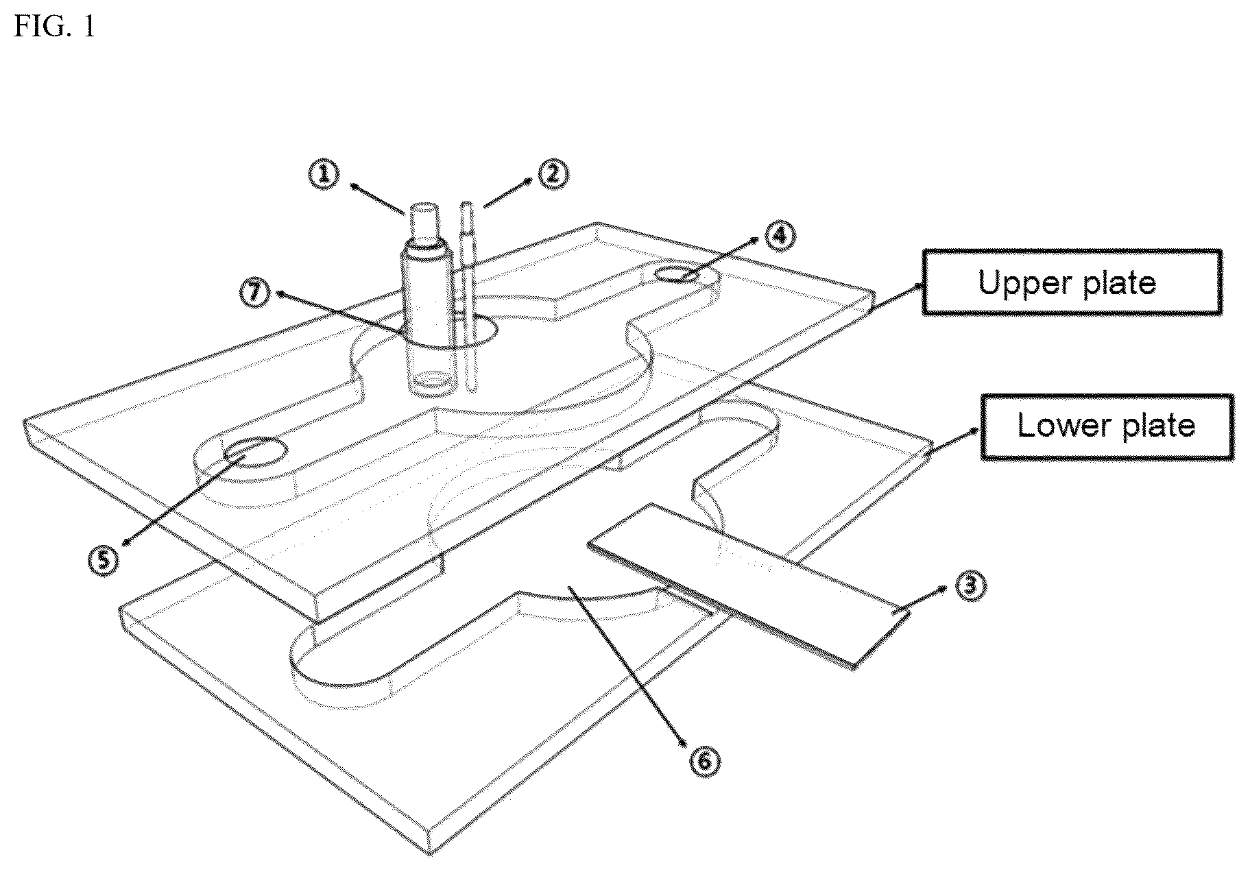 Patent US12492367 Figure 1 – Sensor chip capable of culturing cells and of analyzing cell-derived substance, and cell activity quantitative analysis method using the same