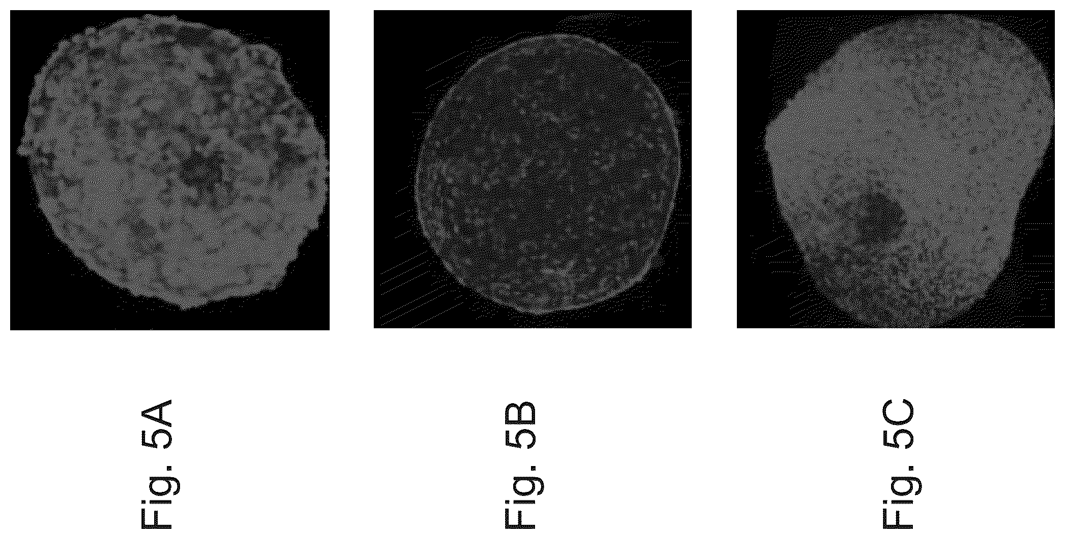 Patent US12492371 Figure 5 – Culture media, cell cultures and methods of culturing pluripotent stem cells in an undifferentiated state