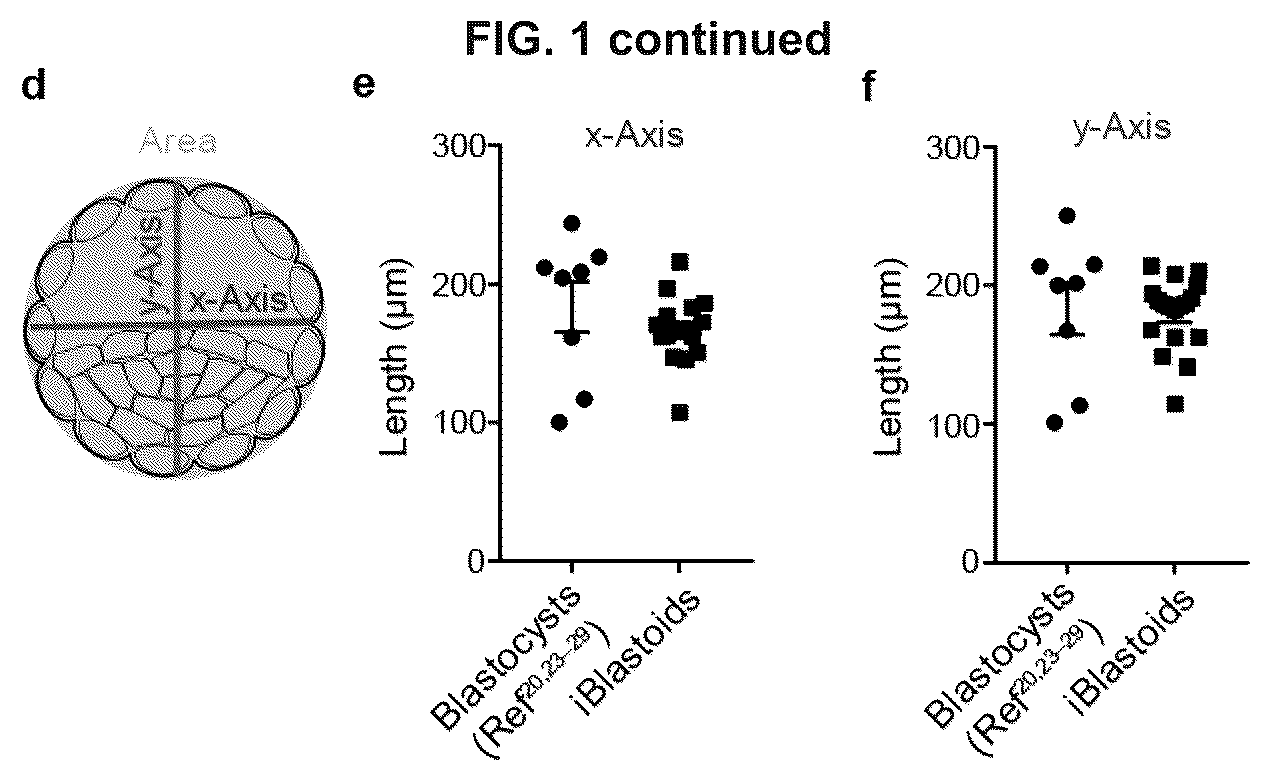 Patent US12492372 Figure 2 – Induced stem cells