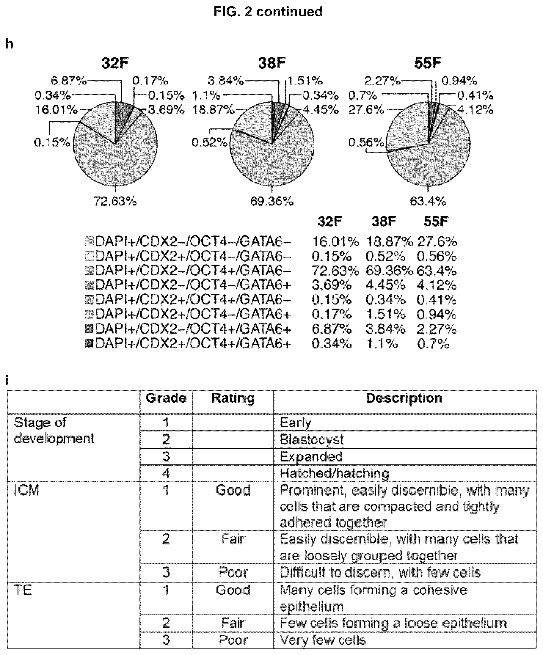 Patent US12492372 Figure 11 – Induced stem cells