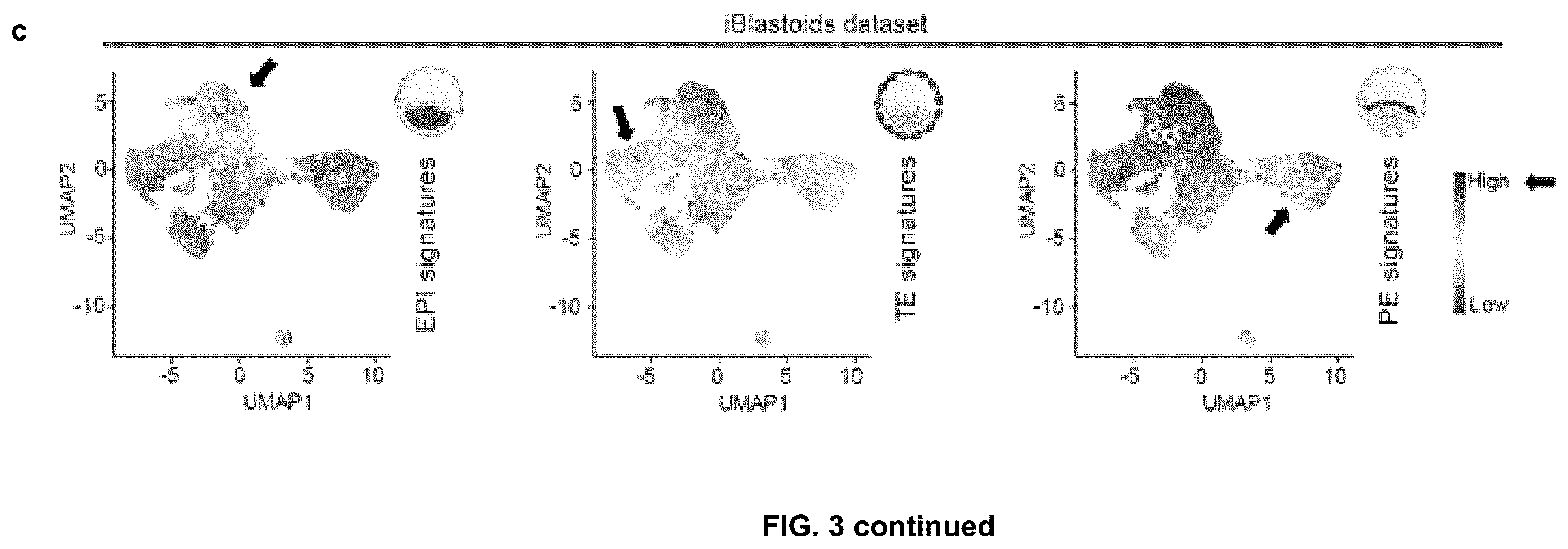 Patent US12492372 Figure 14 – Induced stem cells