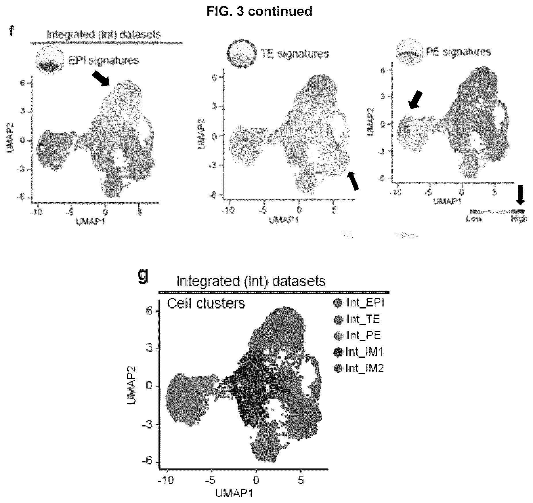 Patent US12492372 Figure 16 – Induced stem cells
