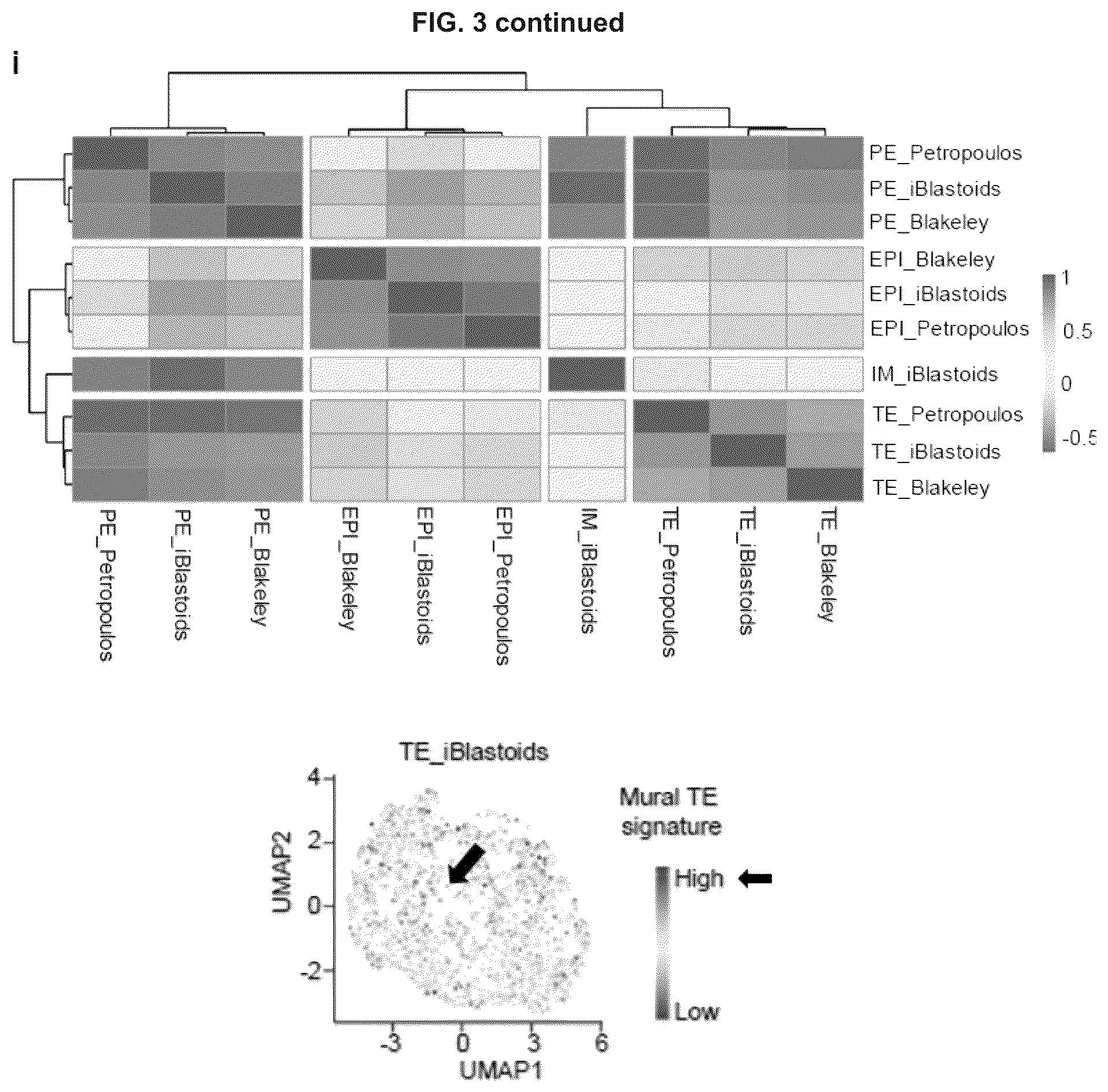 Patent US12492372 Figure 18 – Induced stem cells