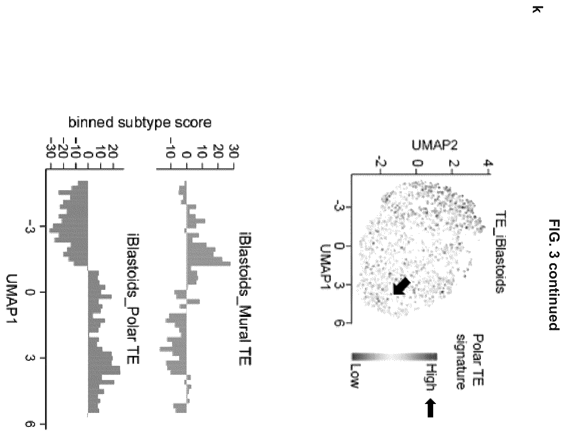 Patent US12492372 Figure 19 – Induced stem cells