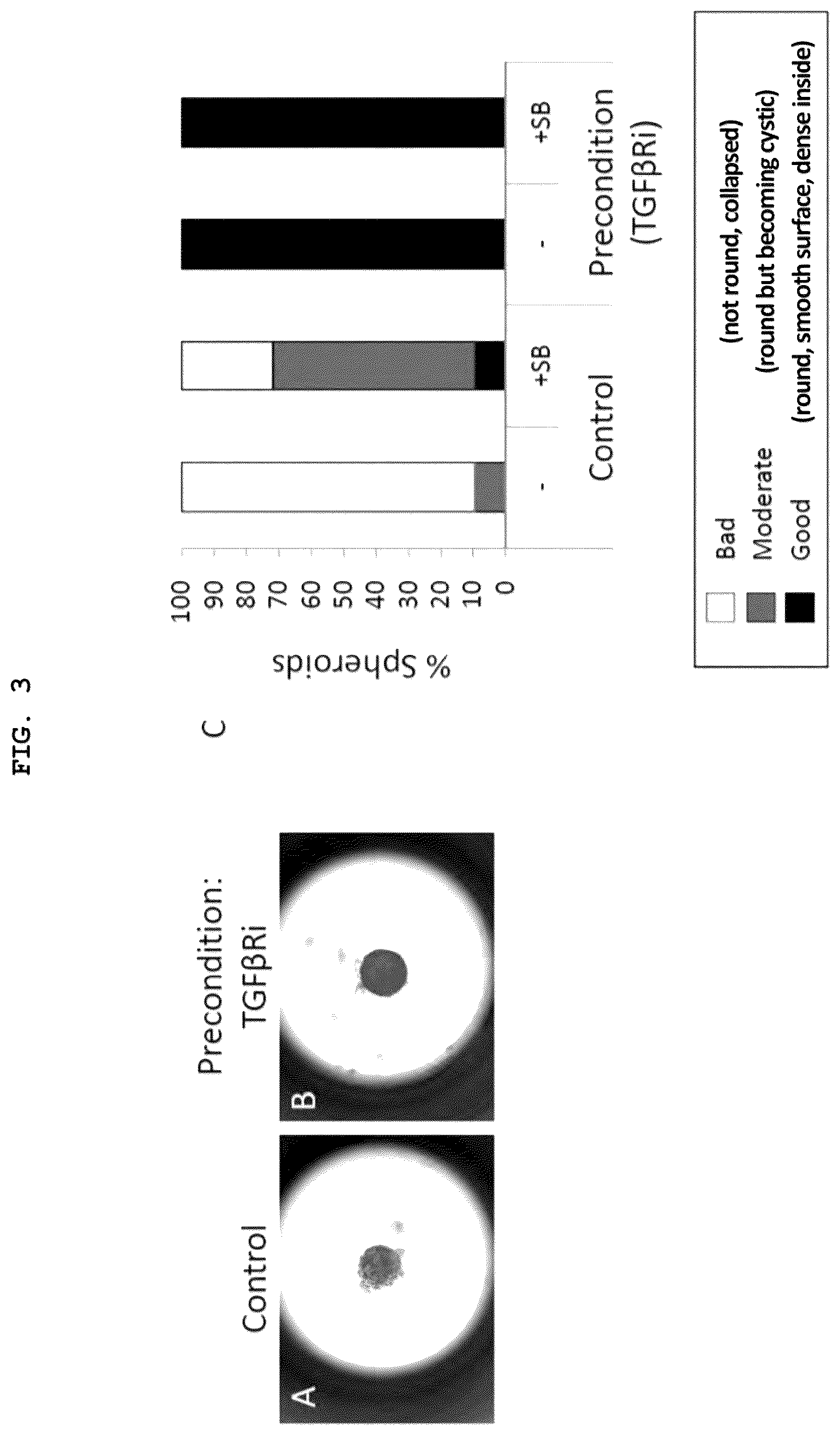 Patent US12492373 Figure 3 – Production method for nerve tissue