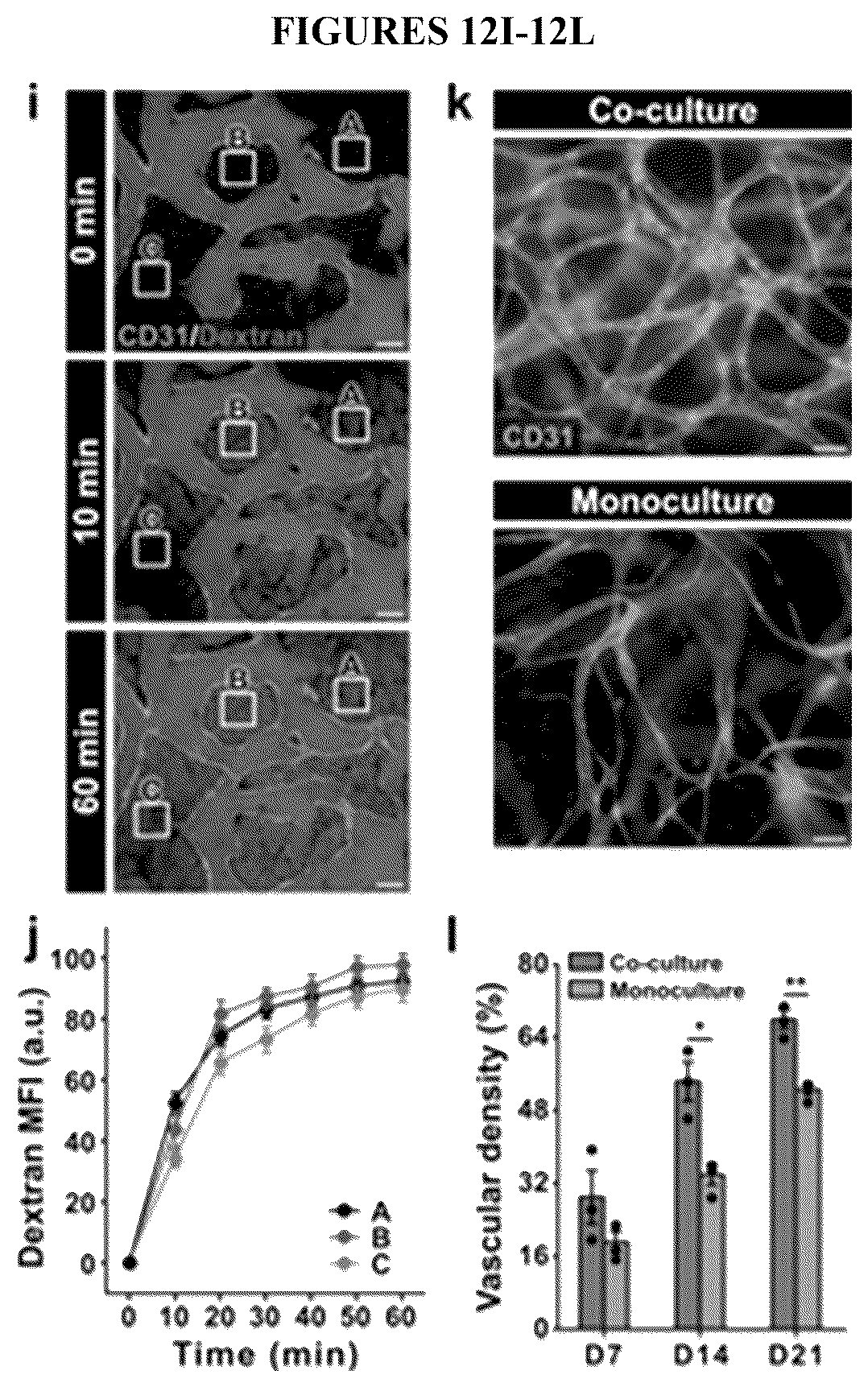 Patent US12492374 Figure 16 – Micro-engineered models of the human eye and methods of use