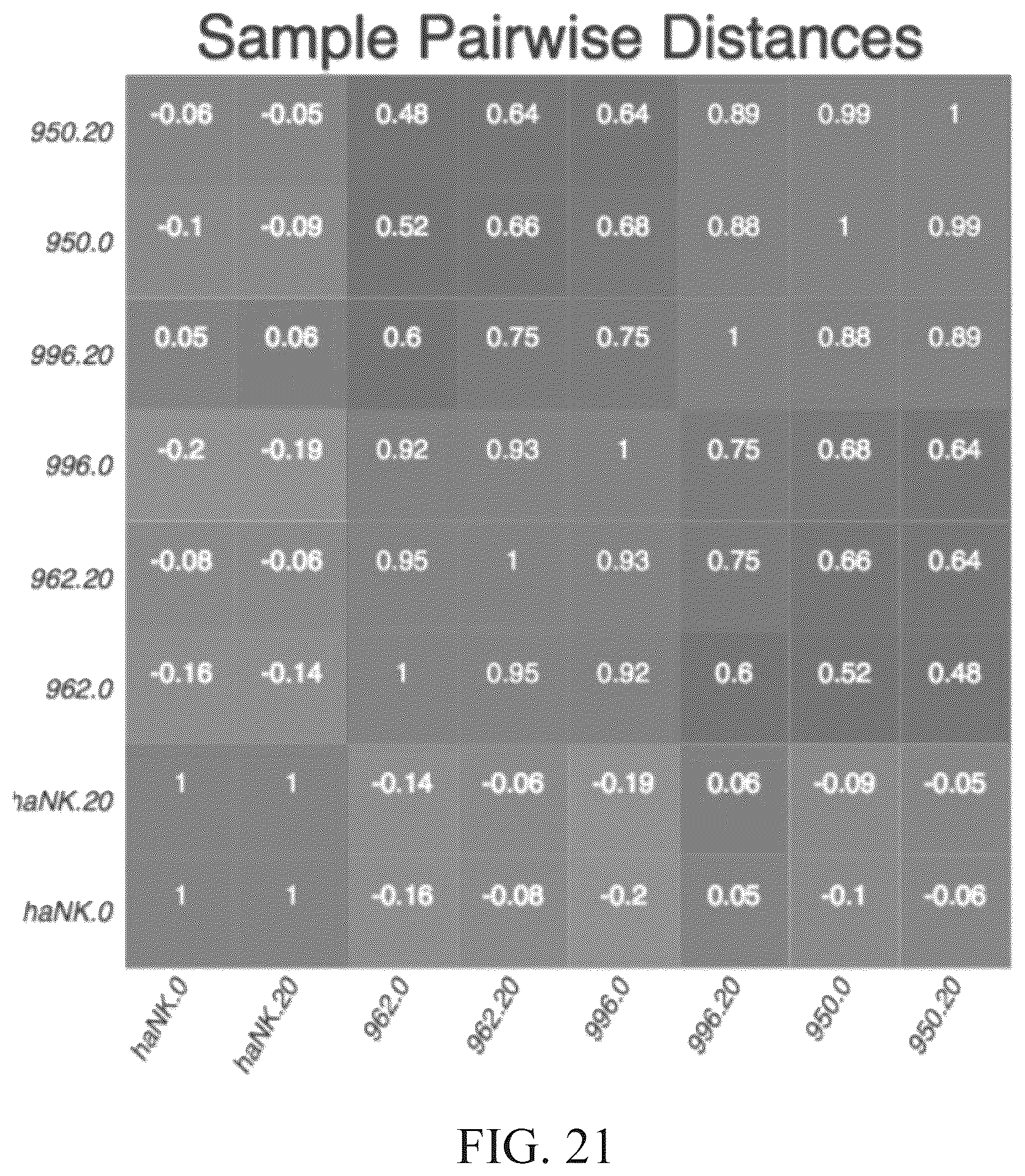 Patent US12492377 Figure 20 – Modified NK-92 haNK003 cells for the clinic