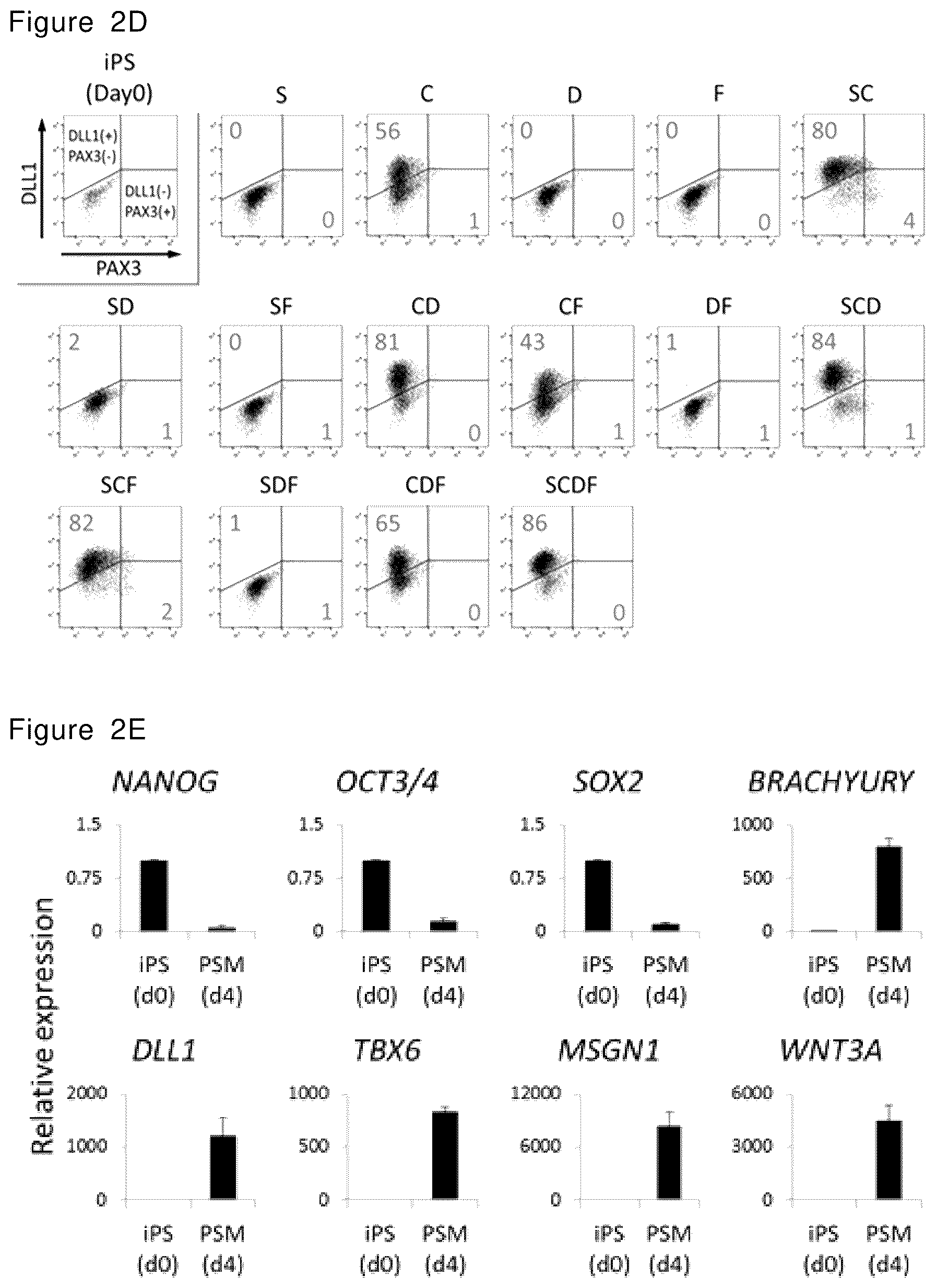 Patent US12492378 Figure 3 – Stepwise method of producing various types of cells from pluripotent stem cells