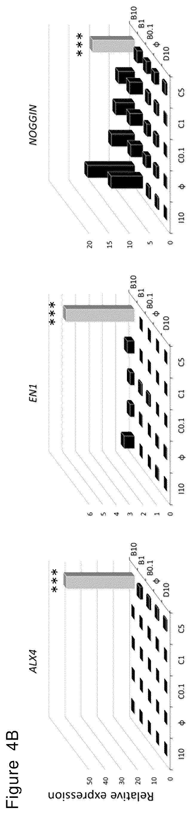 Patent US12492378 Figure 8 – Stepwise method of producing various types of cells from pluripotent stem cells