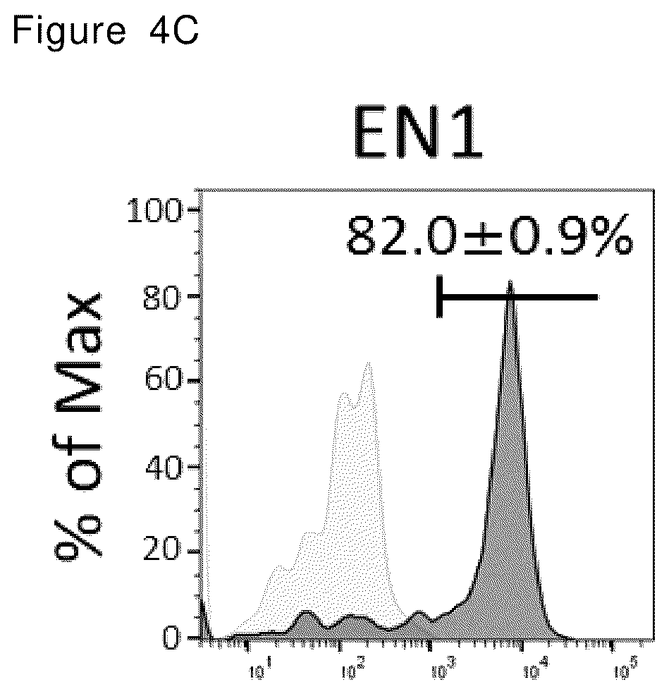 Patent US12492378 Figure 9 – Stepwise method of producing various types of cells from pluripotent stem cells
