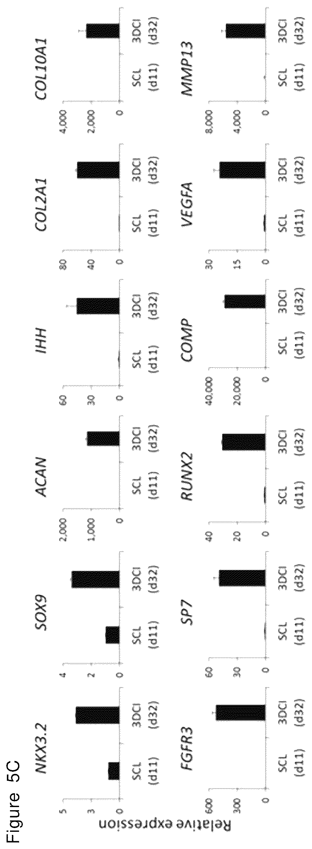 Patent US12492378 Figure 13 – Stepwise method of producing various types of cells from pluripotent stem cells