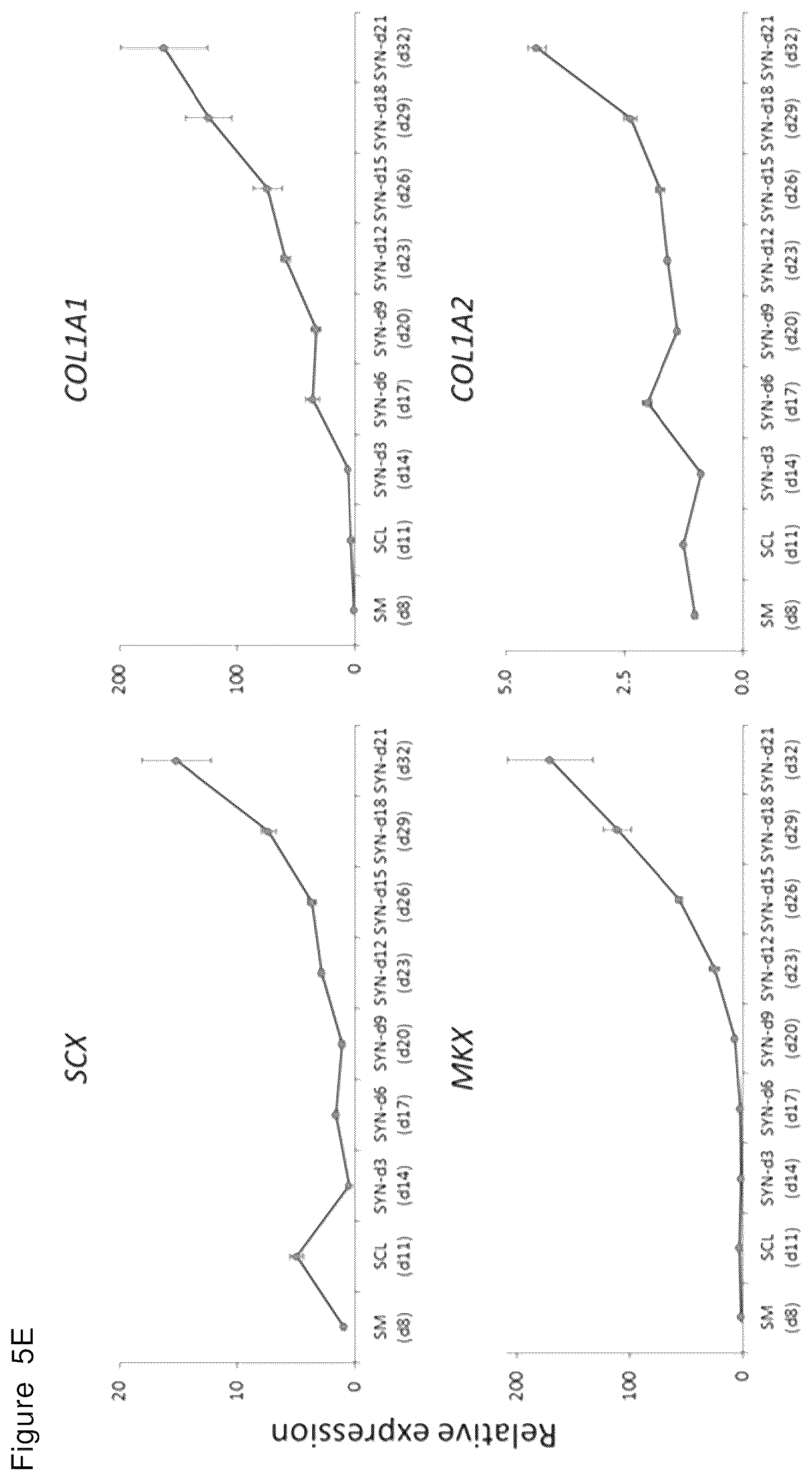 Patent US12492378 Figure 15 – Stepwise method of producing various types of cells from pluripotent stem cells