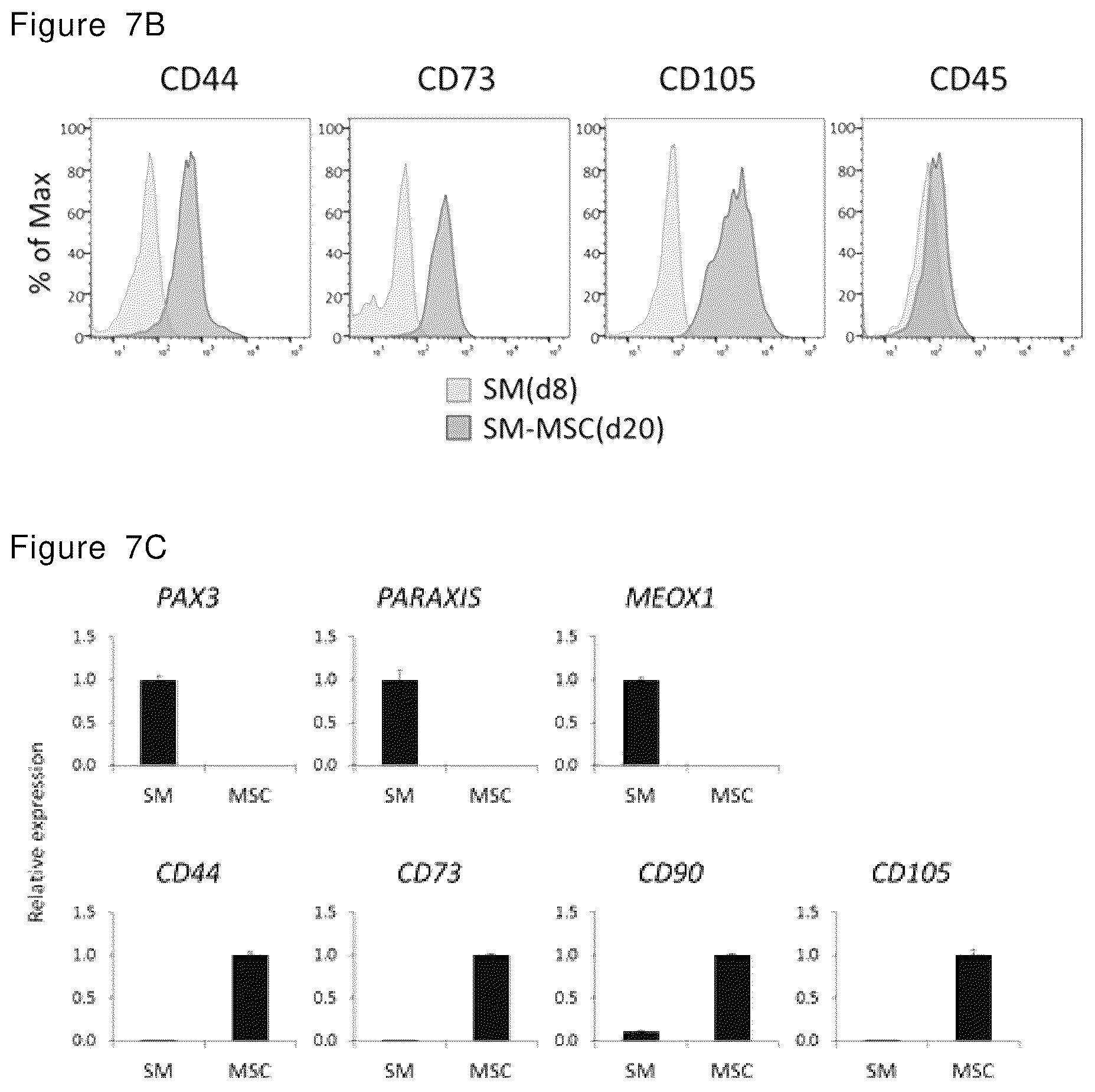 Patent US12492378 Figure 19 – Stepwise method of producing various types of cells from pluripotent stem cells