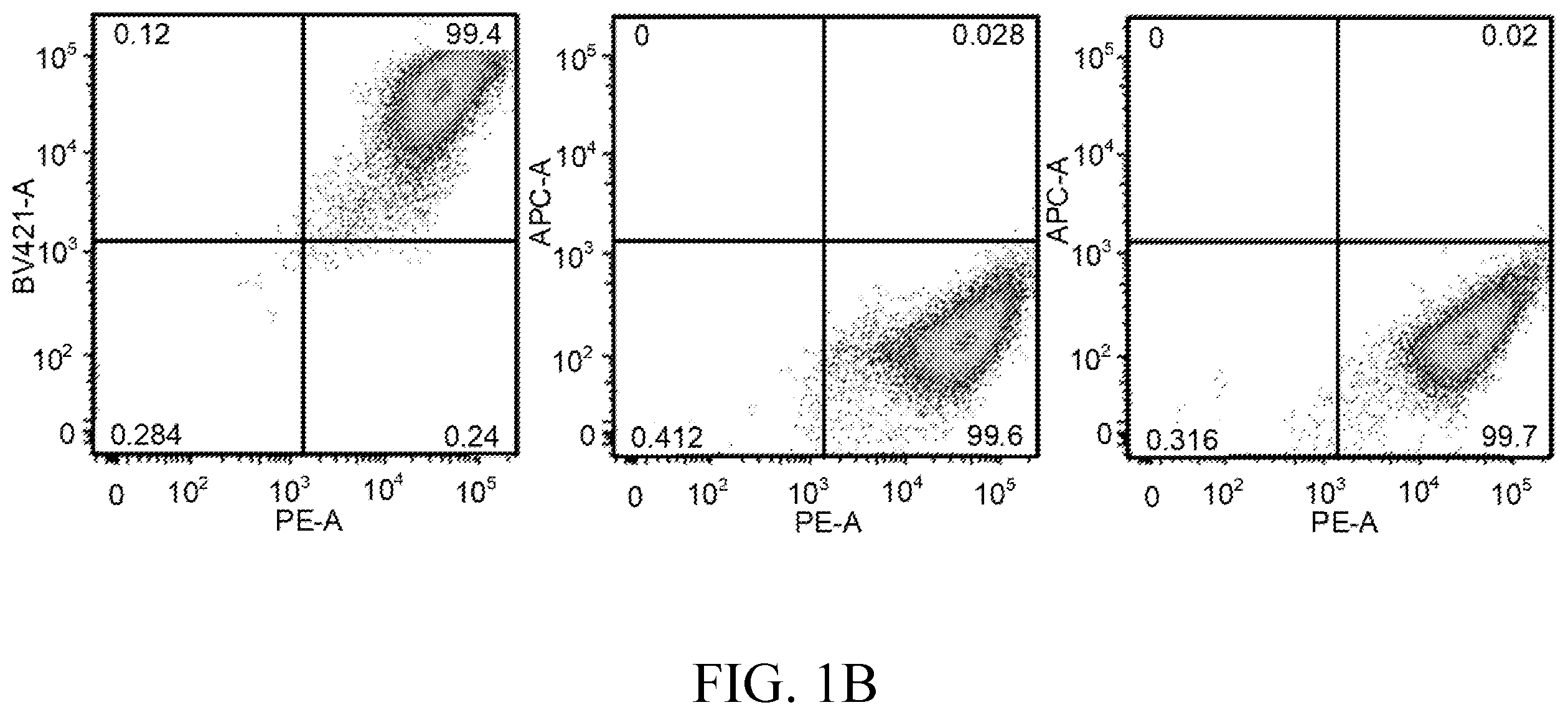 Patent US12492379 Figure 2 – Making and using cardiopoietic cells