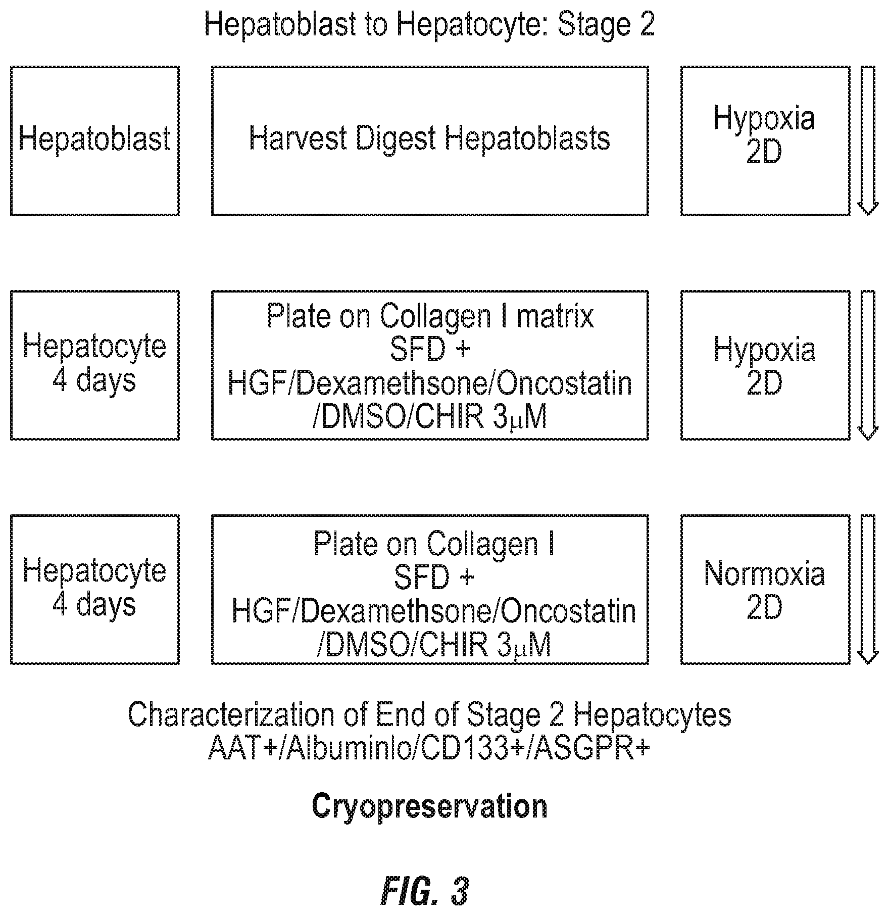 Patent US12492380 Figure 3 – Methods for the production of hepatocytes