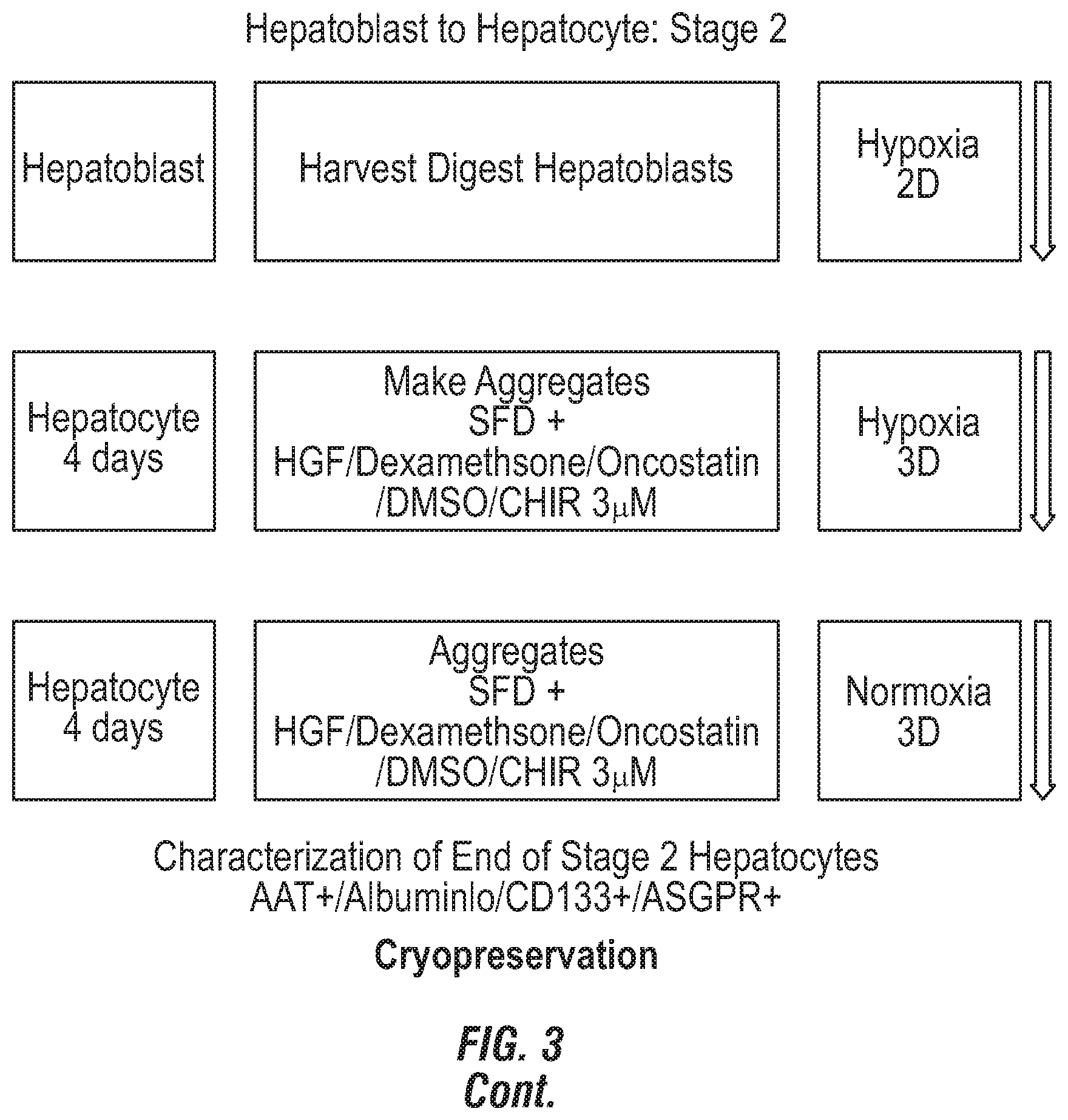 Patent US12492380 Figure 4 – Methods for the production of hepatocytes