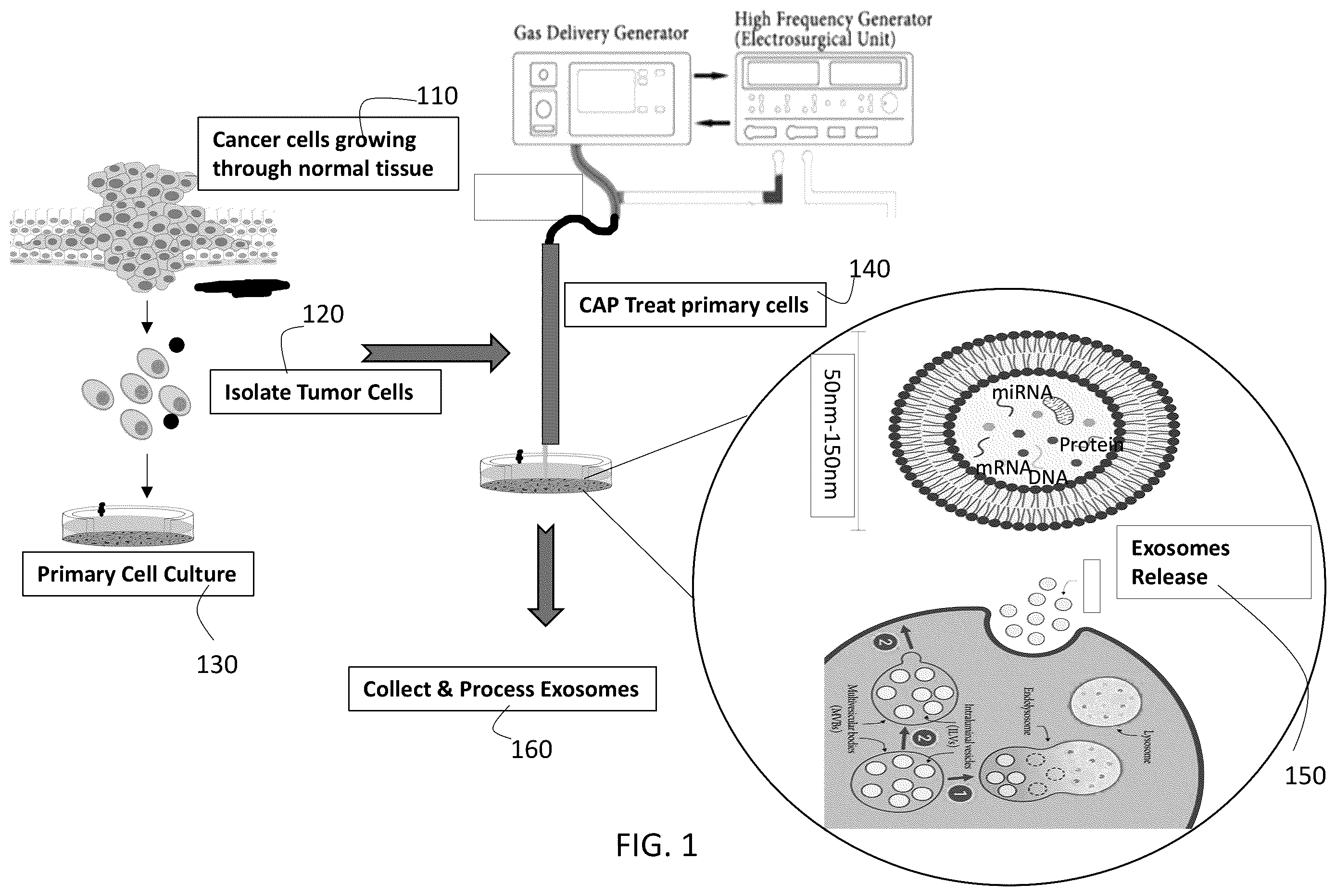 Patent US12492381 — Method for cold atmospheric plasma exosome therapy — Figure 1