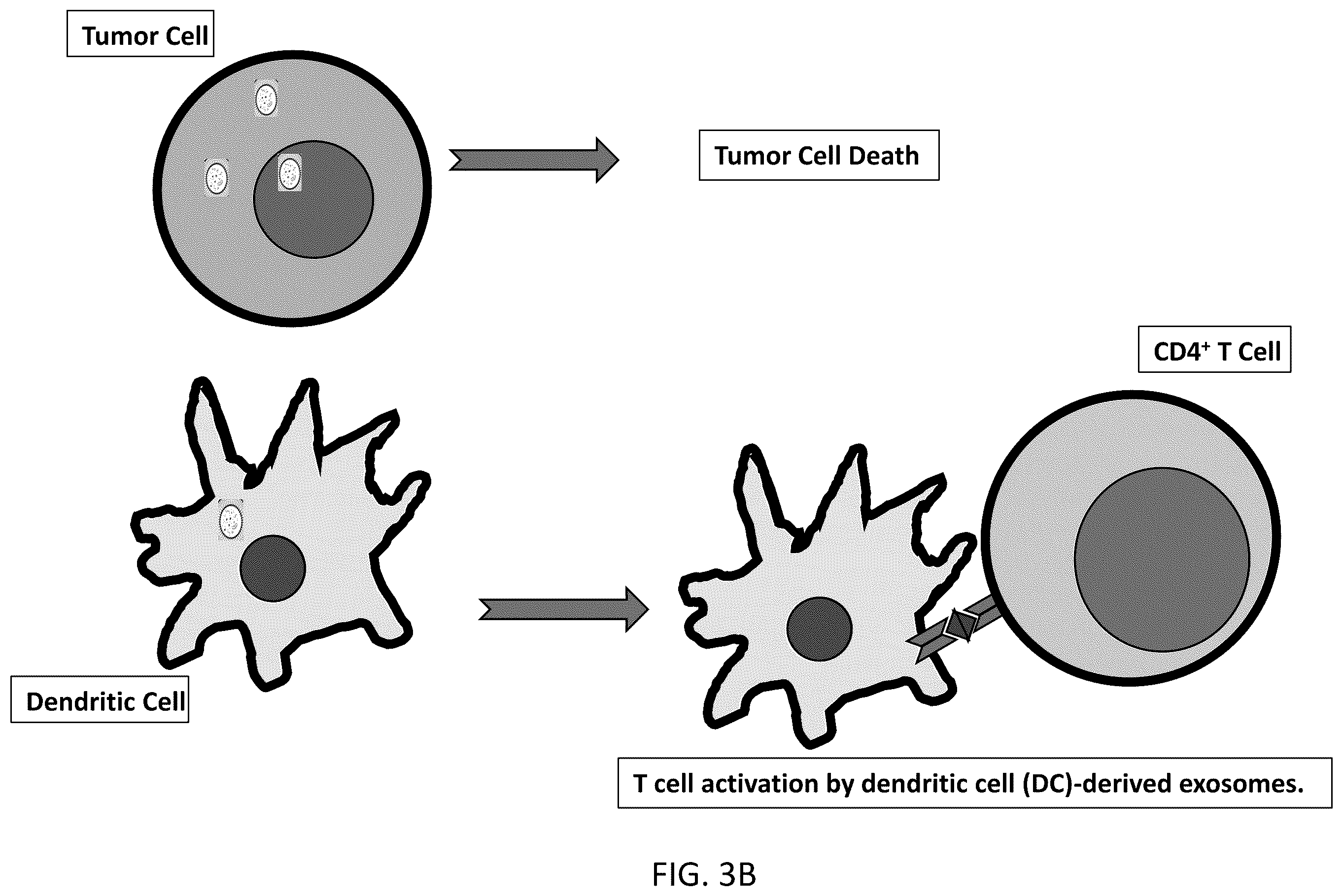 Patent US12492381 Figure 4 – Method for cold atmospheric plasma exosome therapy