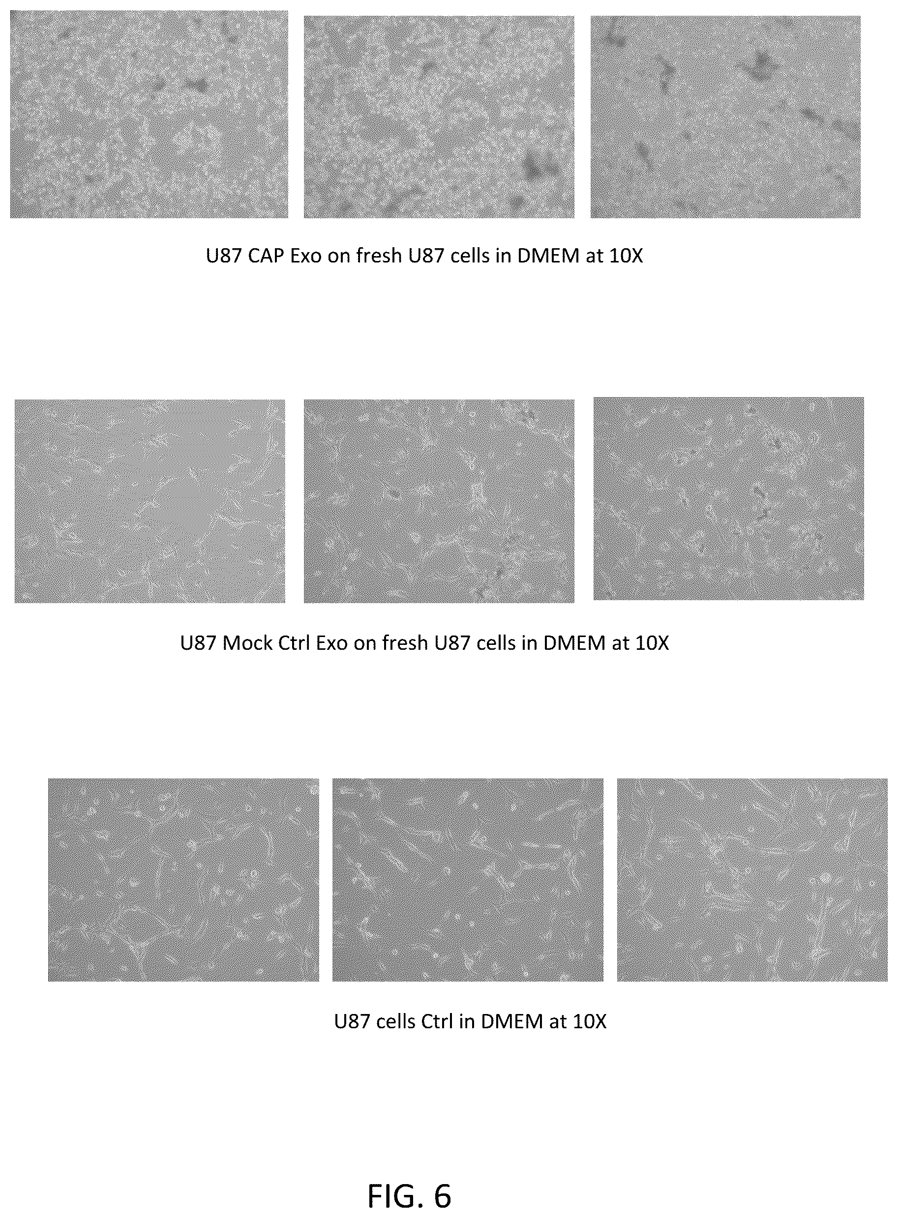 Patent US12492381 Figure 7 – Method for cold atmospheric plasma exosome therapy