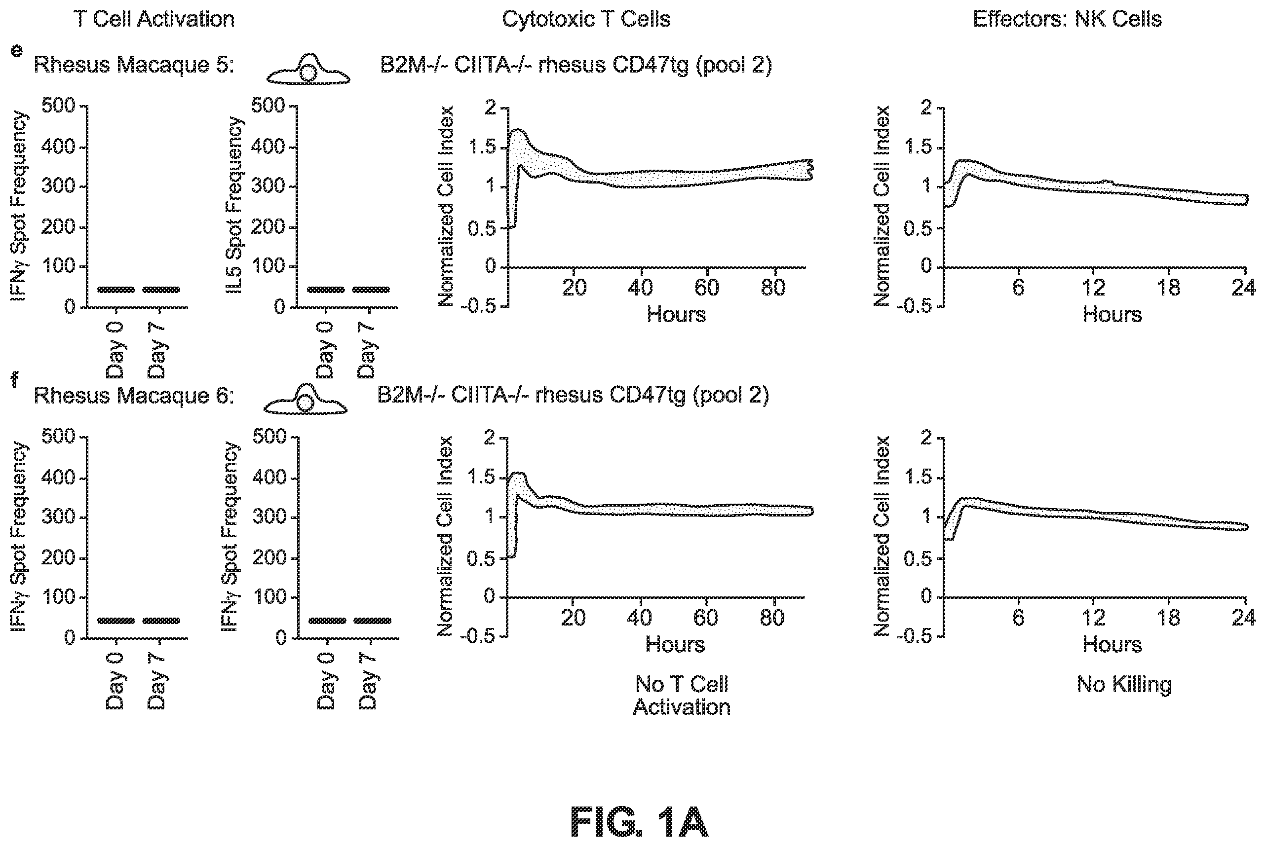 Patent US12492382 Figure 1 – Blood type O Rh—hypo-immunogenic cells