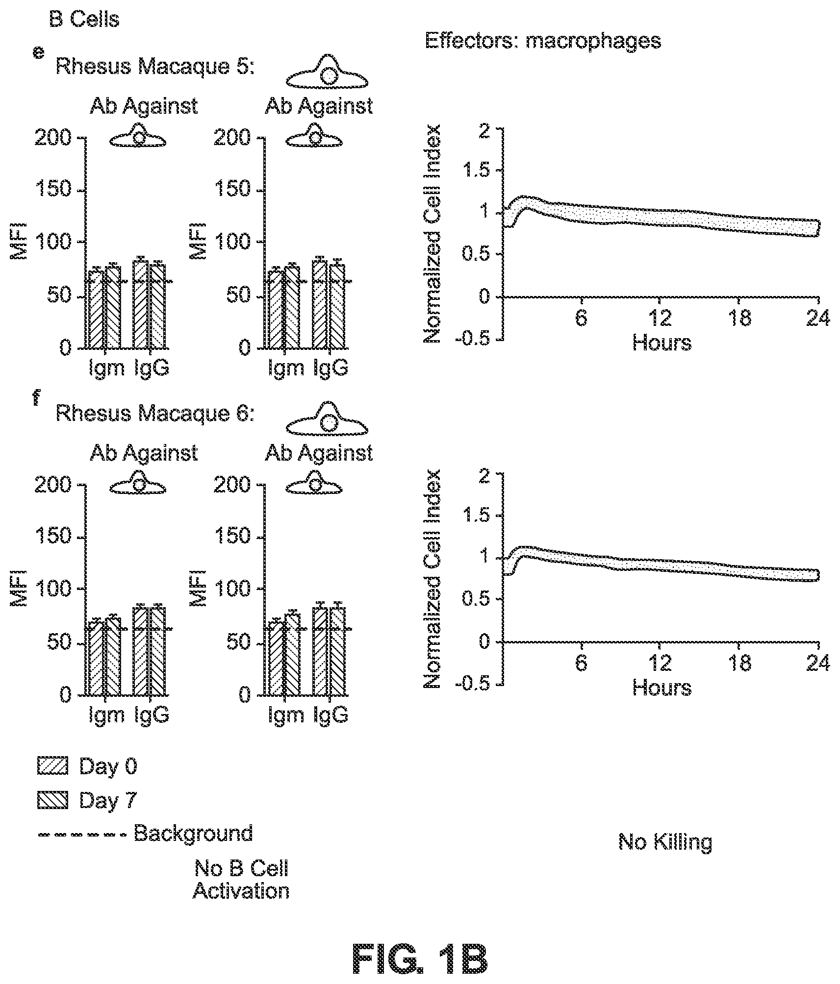 Patent US12492382 Figure 2 – Blood type O Rh—hypo-immunogenic cells