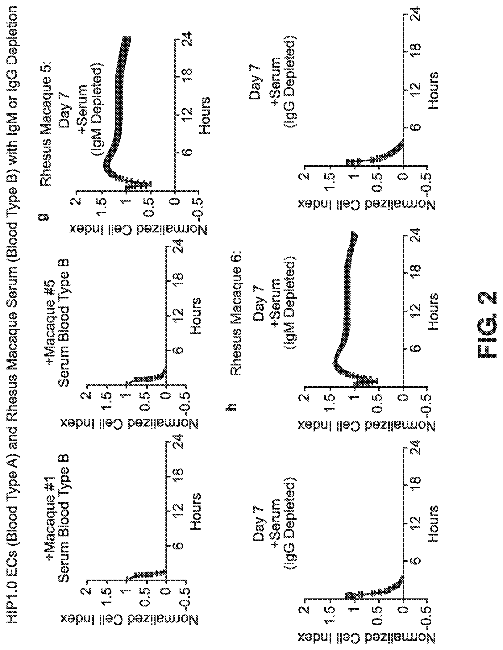 Patent US12492382 Figure 3 – Blood type O Rh—hypo-immunogenic cells