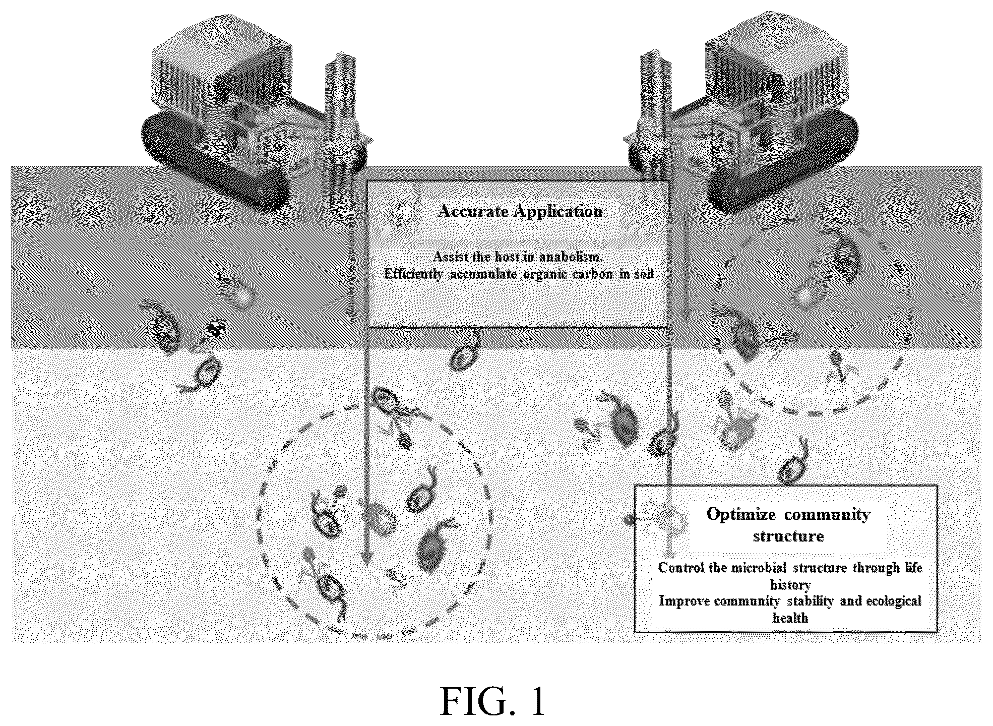 Patent US12492384 Figure 1 – Phage composition and its use in strengthening soil carbon fixation