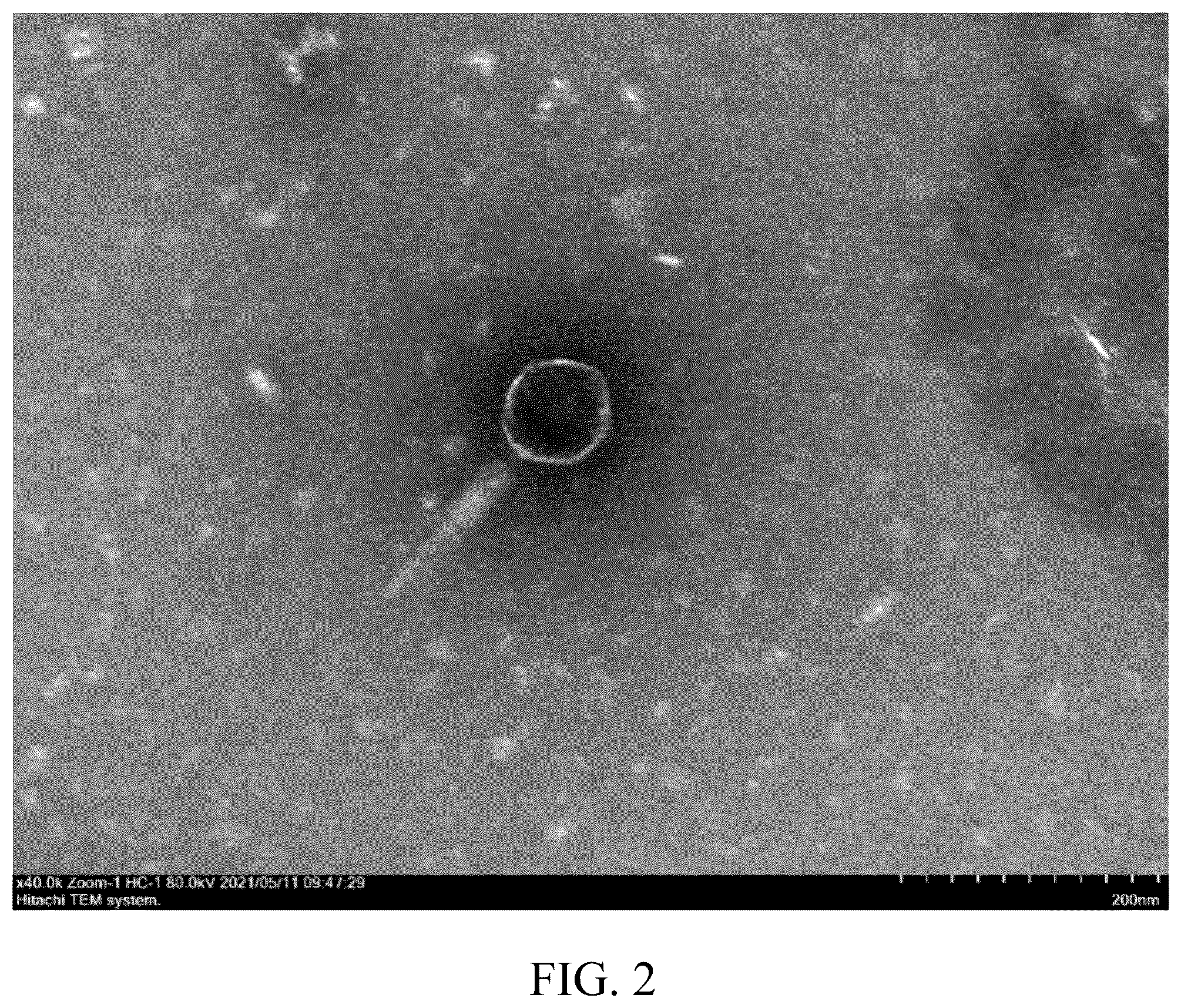 Patent US12492384 Figure 2 – Phage composition and its use in strengthening soil carbon fixation