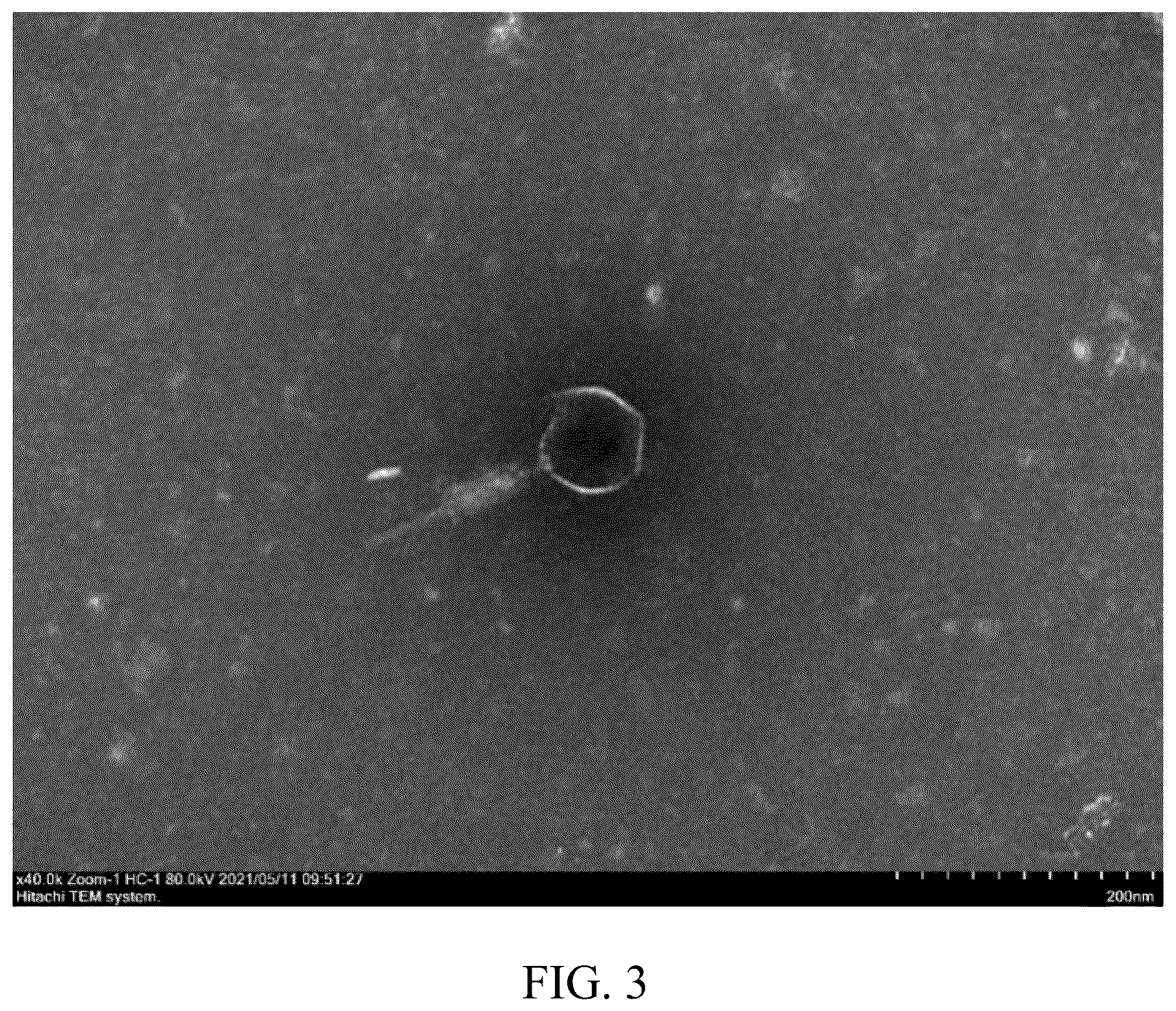 Patent US12492384 Figure 3 – Phage composition and its use in strengthening soil carbon fixation
