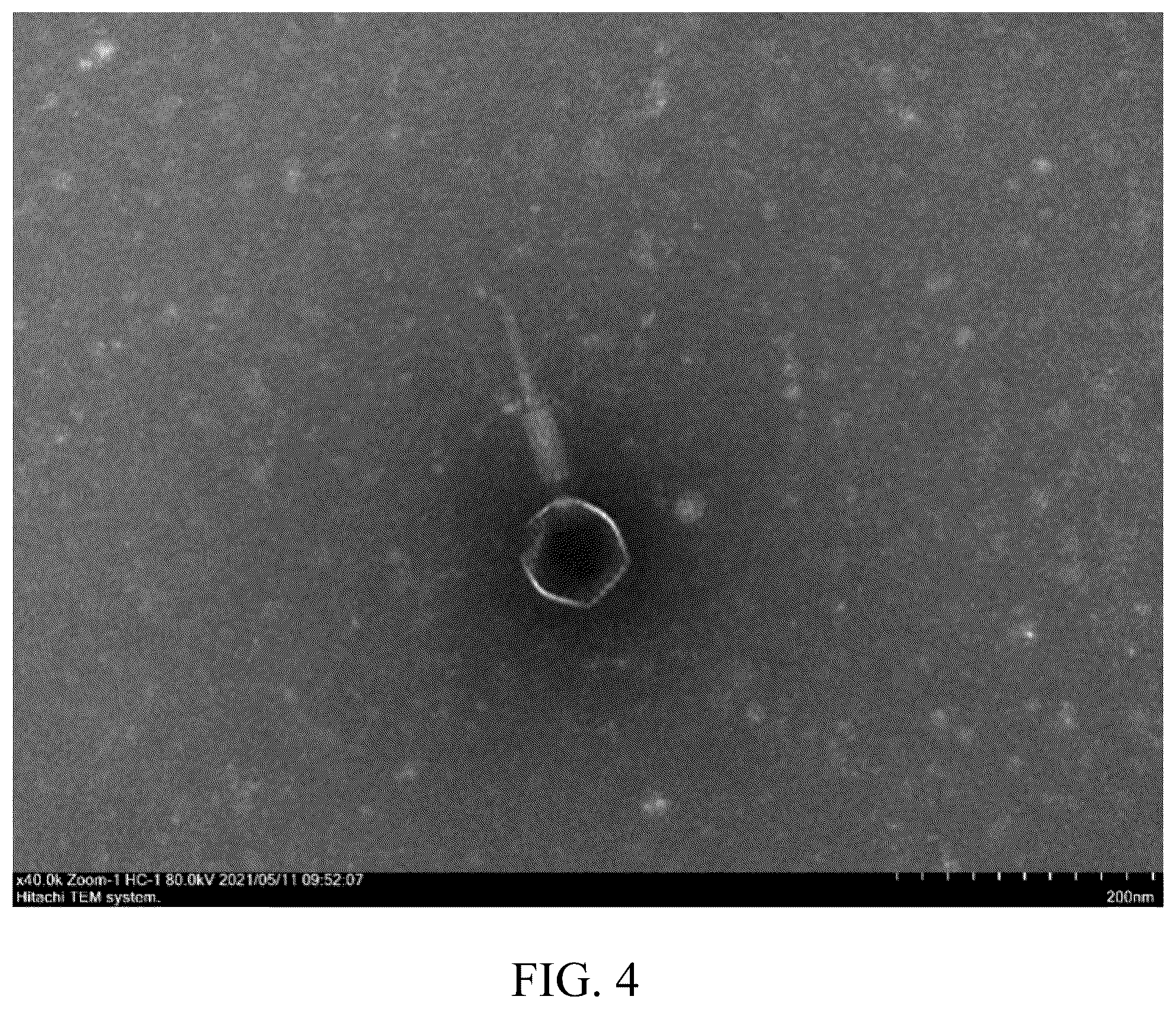 Patent US12492384 Figure 4 – Phage composition and its use in strengthening soil carbon fixation