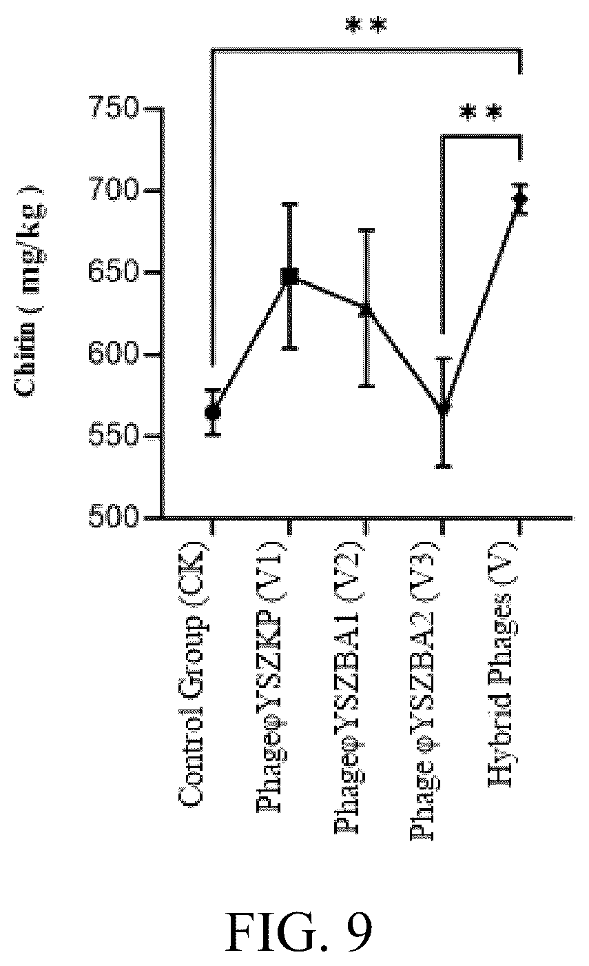 Patent US12492384 Figure 8 – Phage composition and its use in strengthening soil carbon fixation