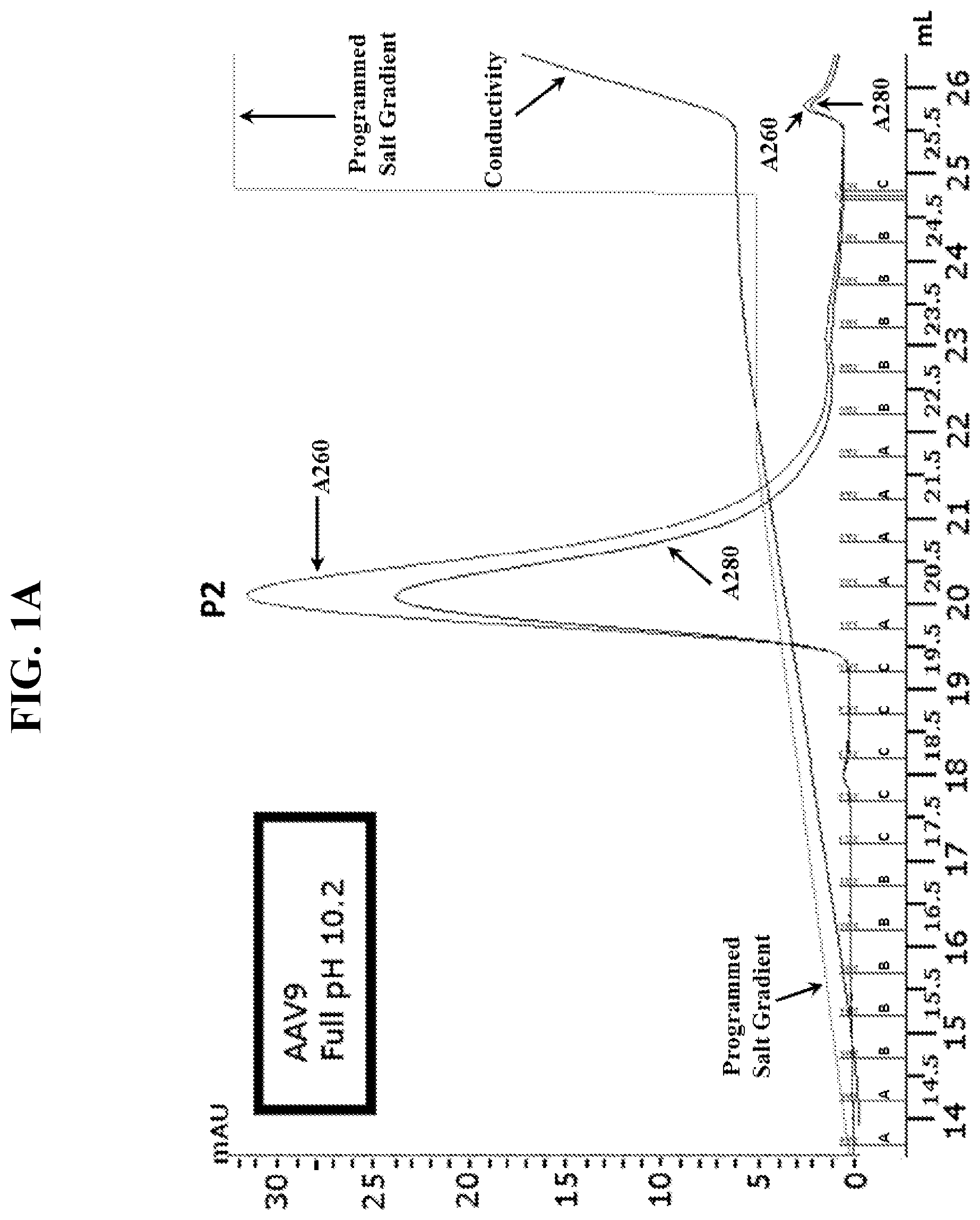 Patent US12492385 Figure 1 – Scalable purification method for AAV9