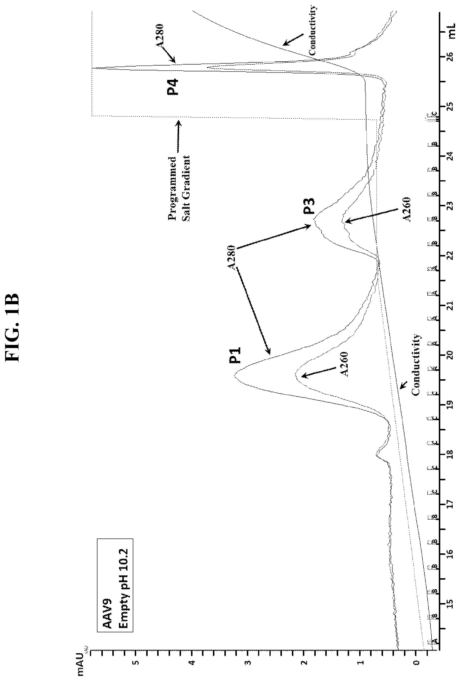 Patent US12492385 Figure 2 – Scalable purification method for AAV9