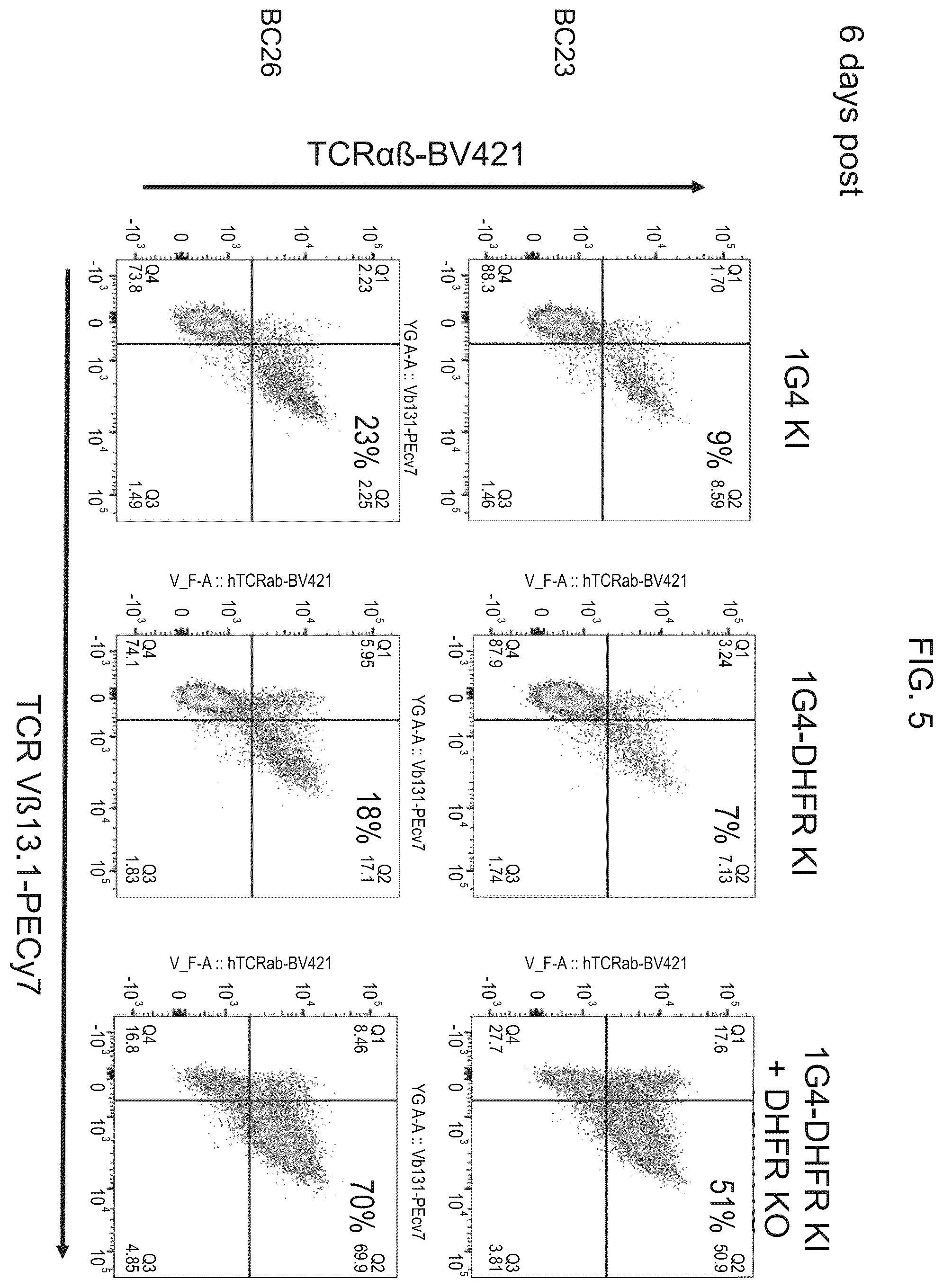 Patent US12492386 Figure 5 – Methods to enrich genetically engineered T cells