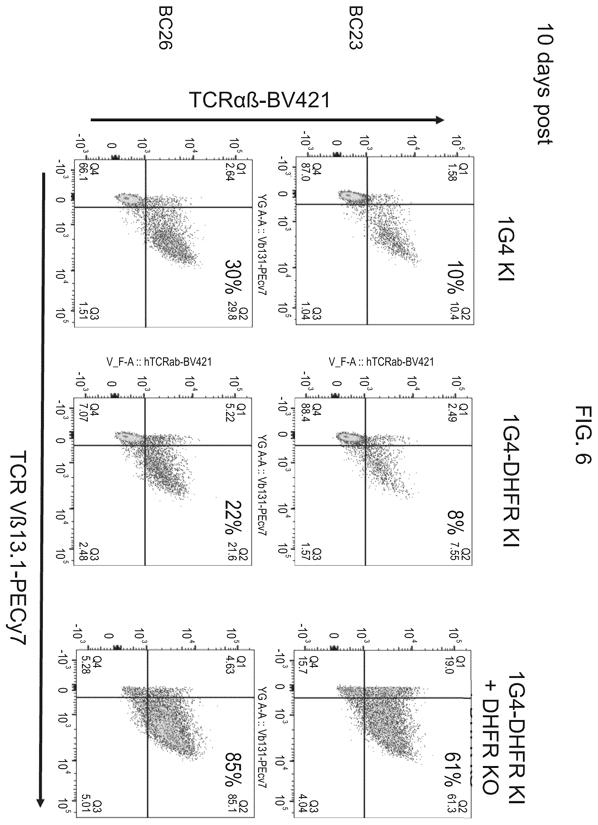 Patent US12492386 Figure 6 – Methods to enrich genetically engineered T cells