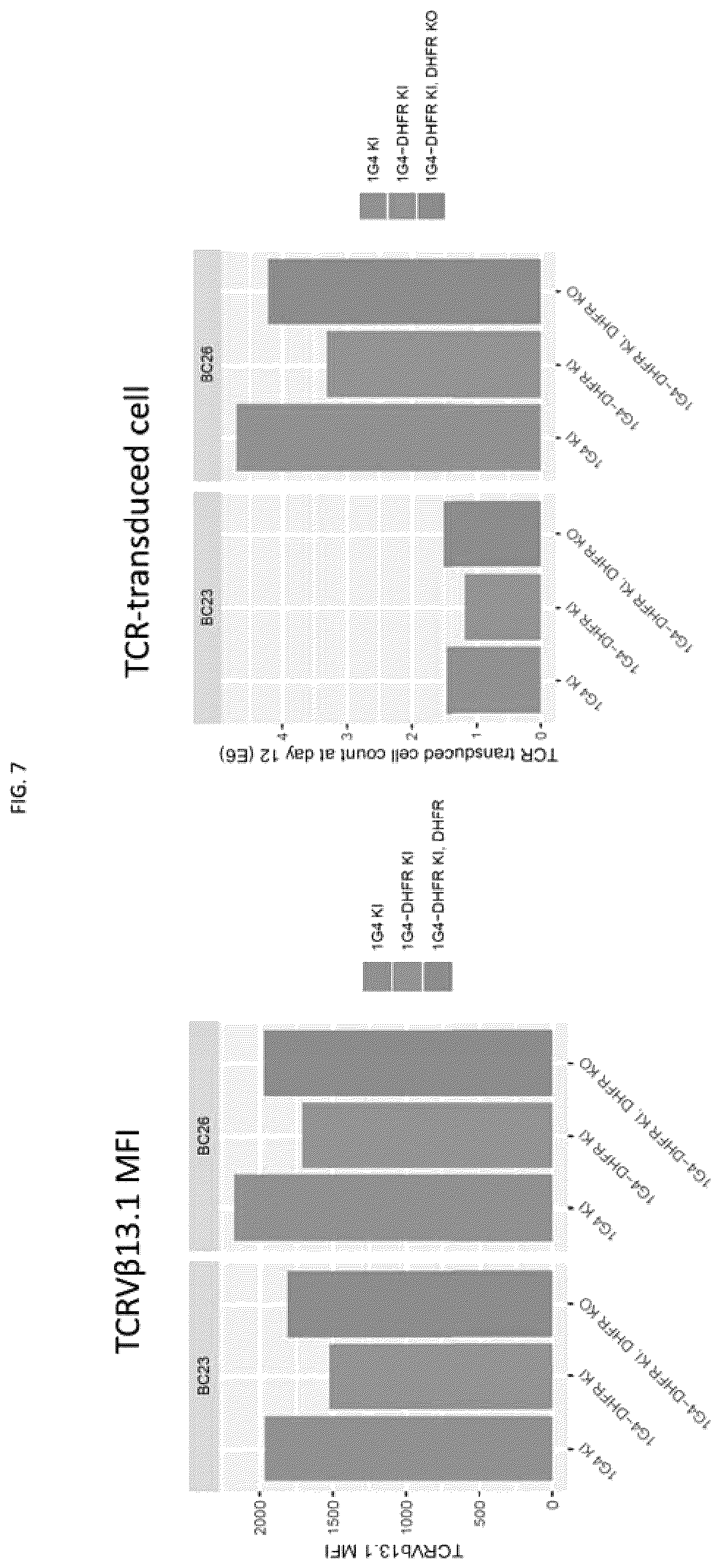 Patent US12492386 Figure 7 – Methods to enrich genetically engineered T cells