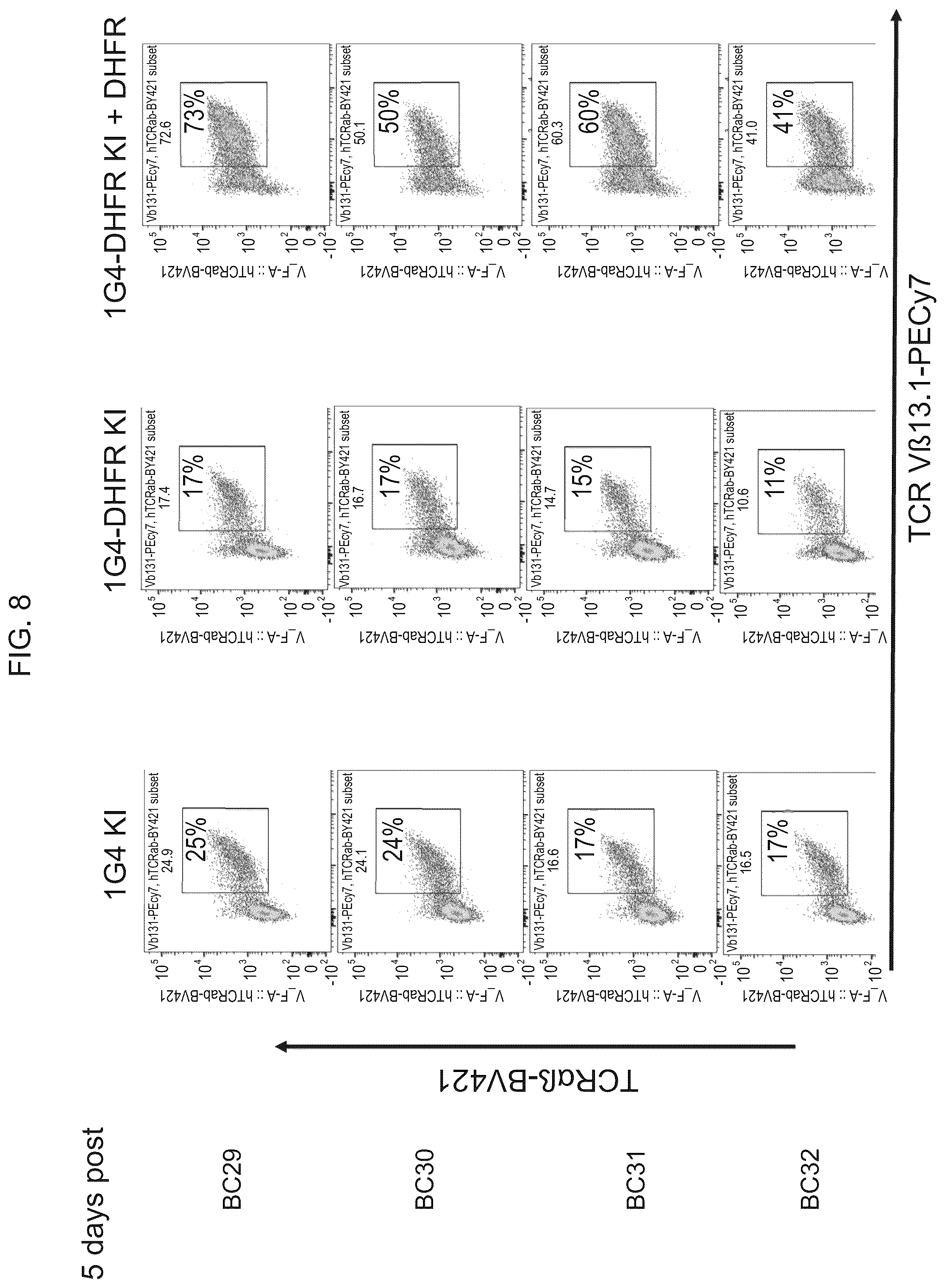Patent US12492386 Figure 8 – Methods to enrich genetically engineered T cells