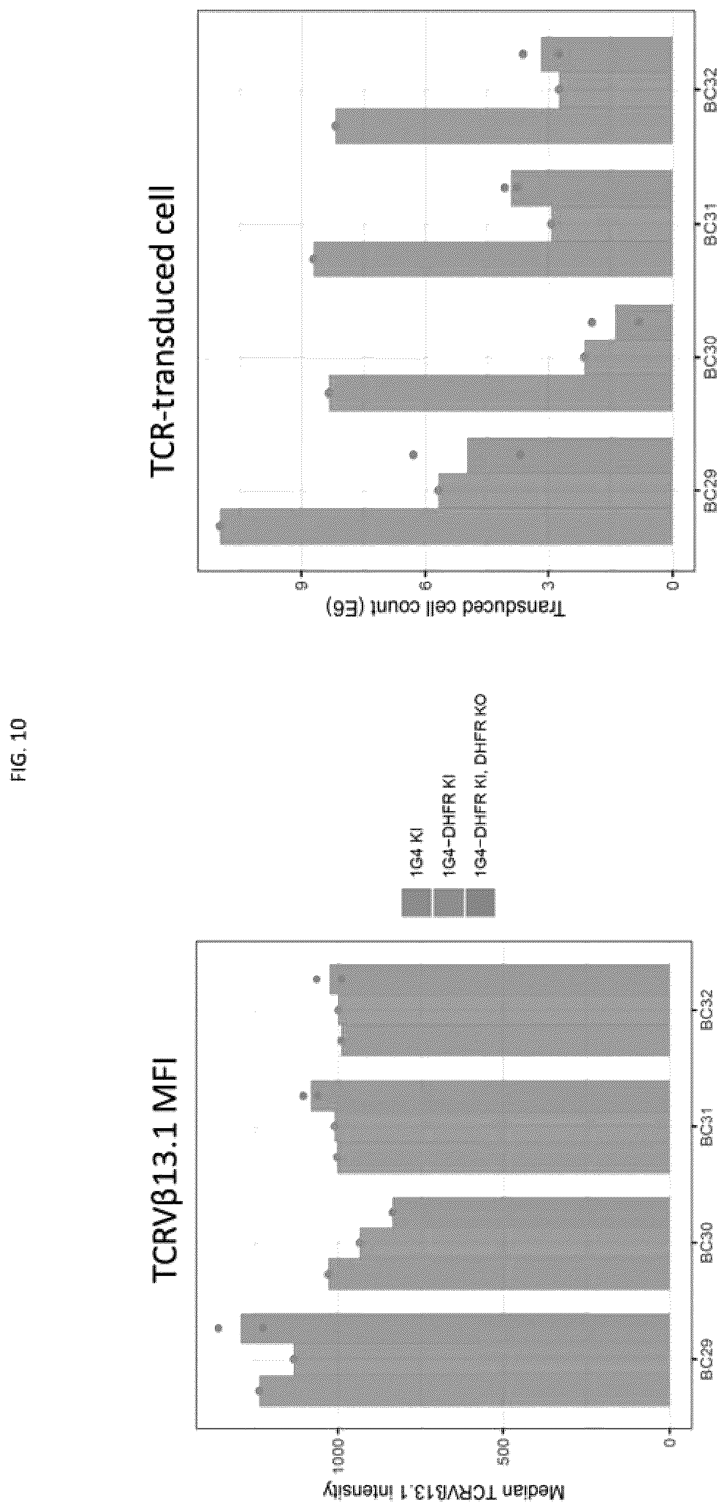 Patent US12492386 Figure 10 – Methods to enrich genetically engineered T cells