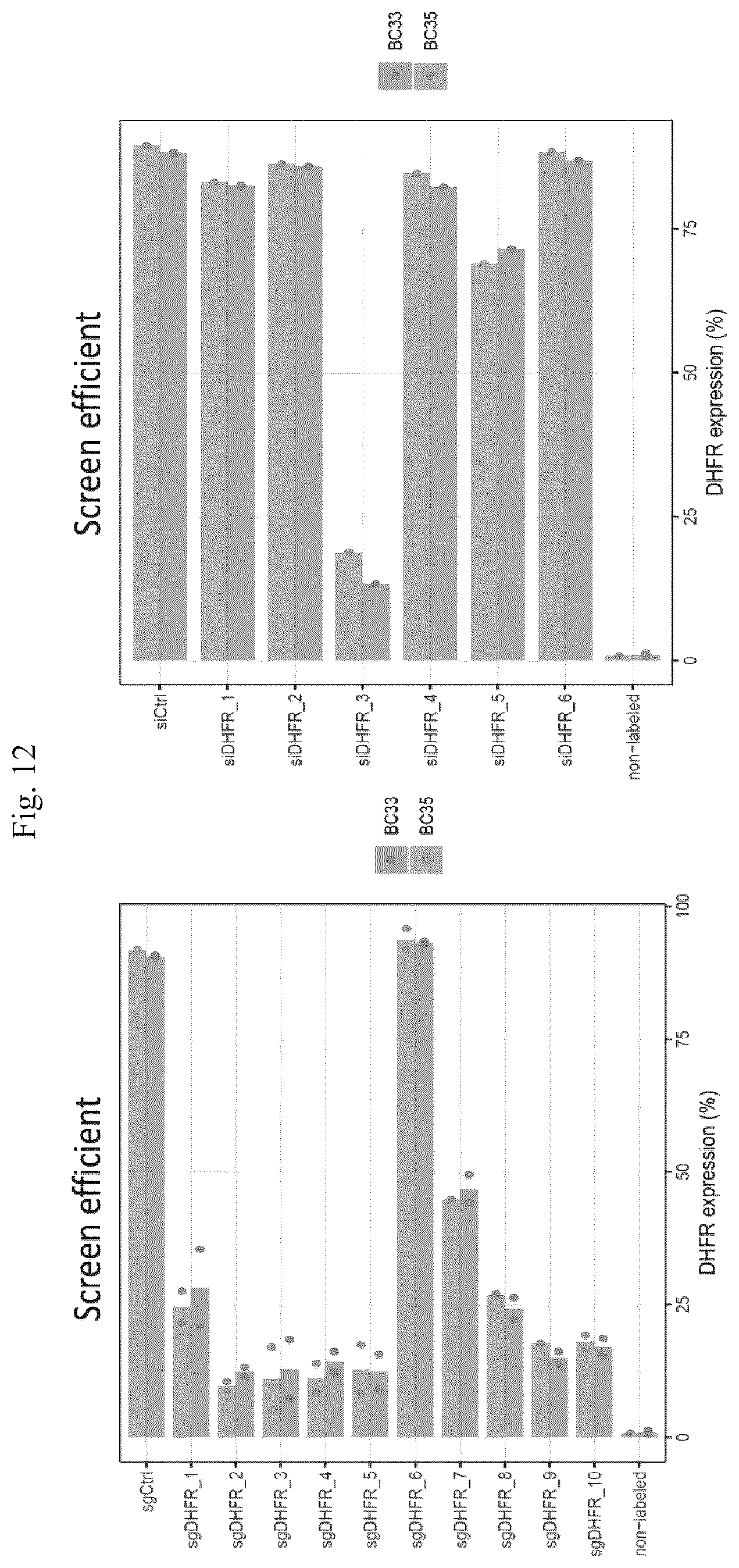 Patent US12492386 Figure 12 – Methods to enrich genetically engineered T cells