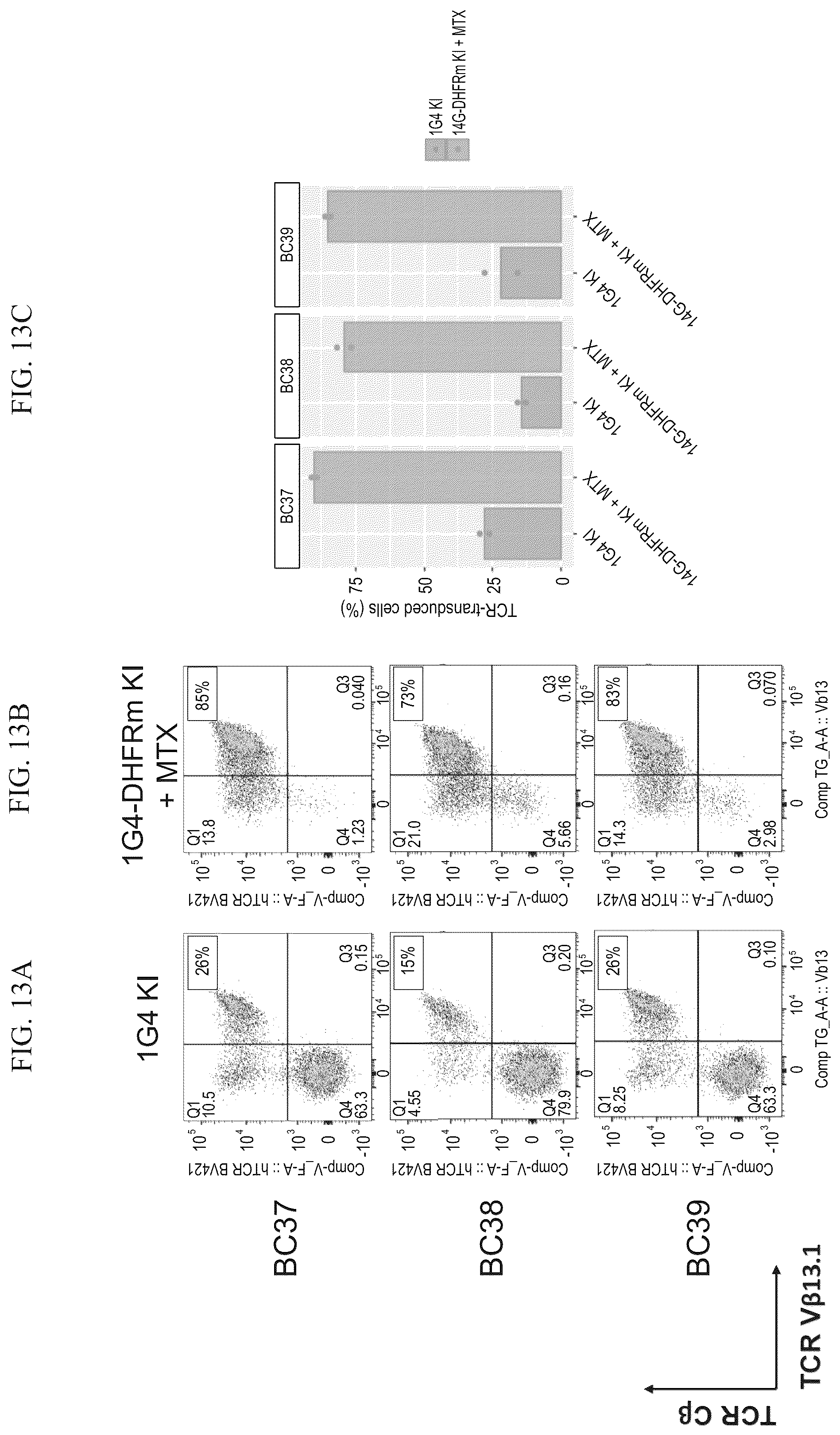 Patent US12492386 Figure 13 – Methods to enrich genetically engineered T cells