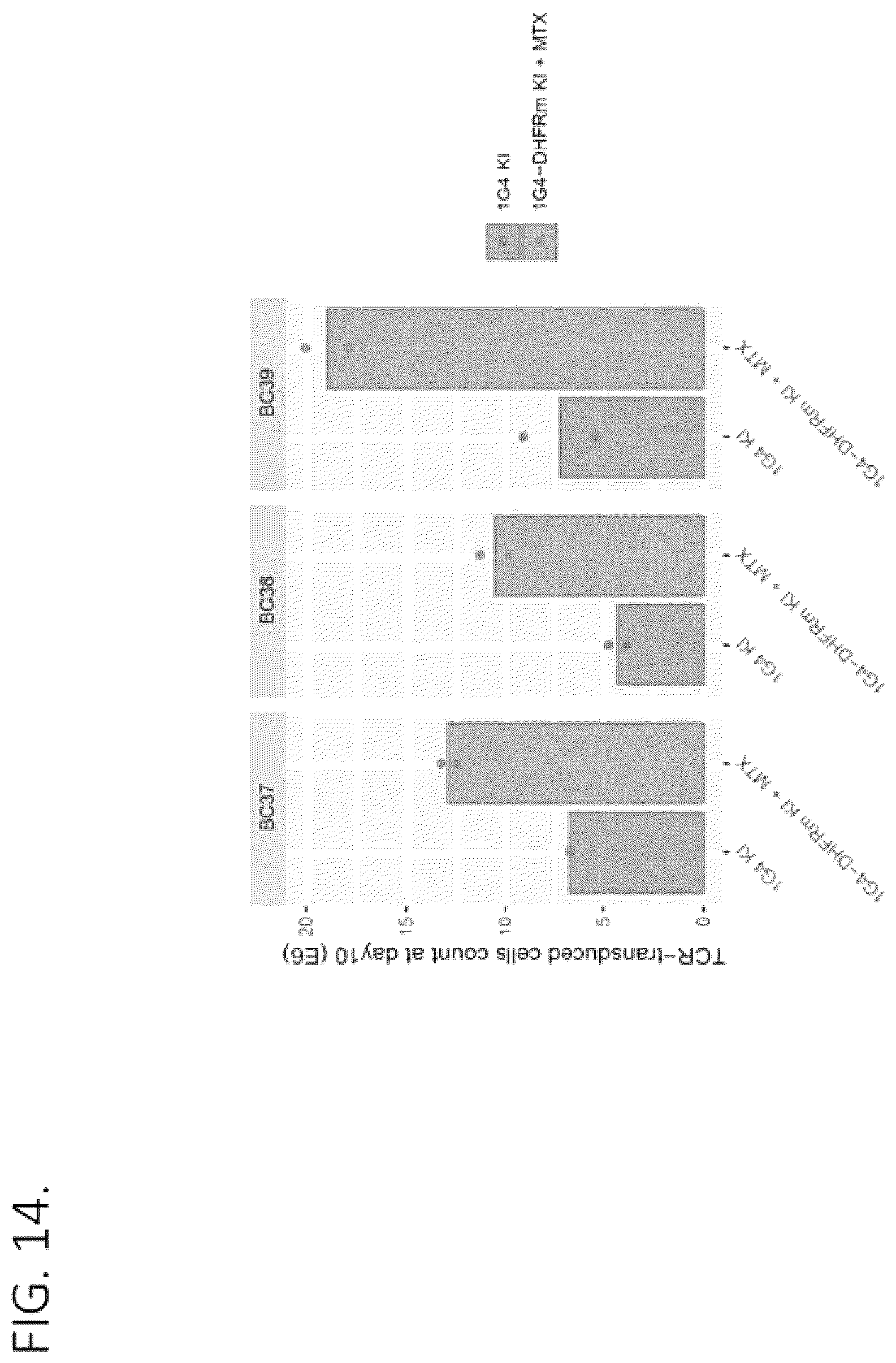 Patent US12492386 Figure 14 – Methods to enrich genetically engineered T cells